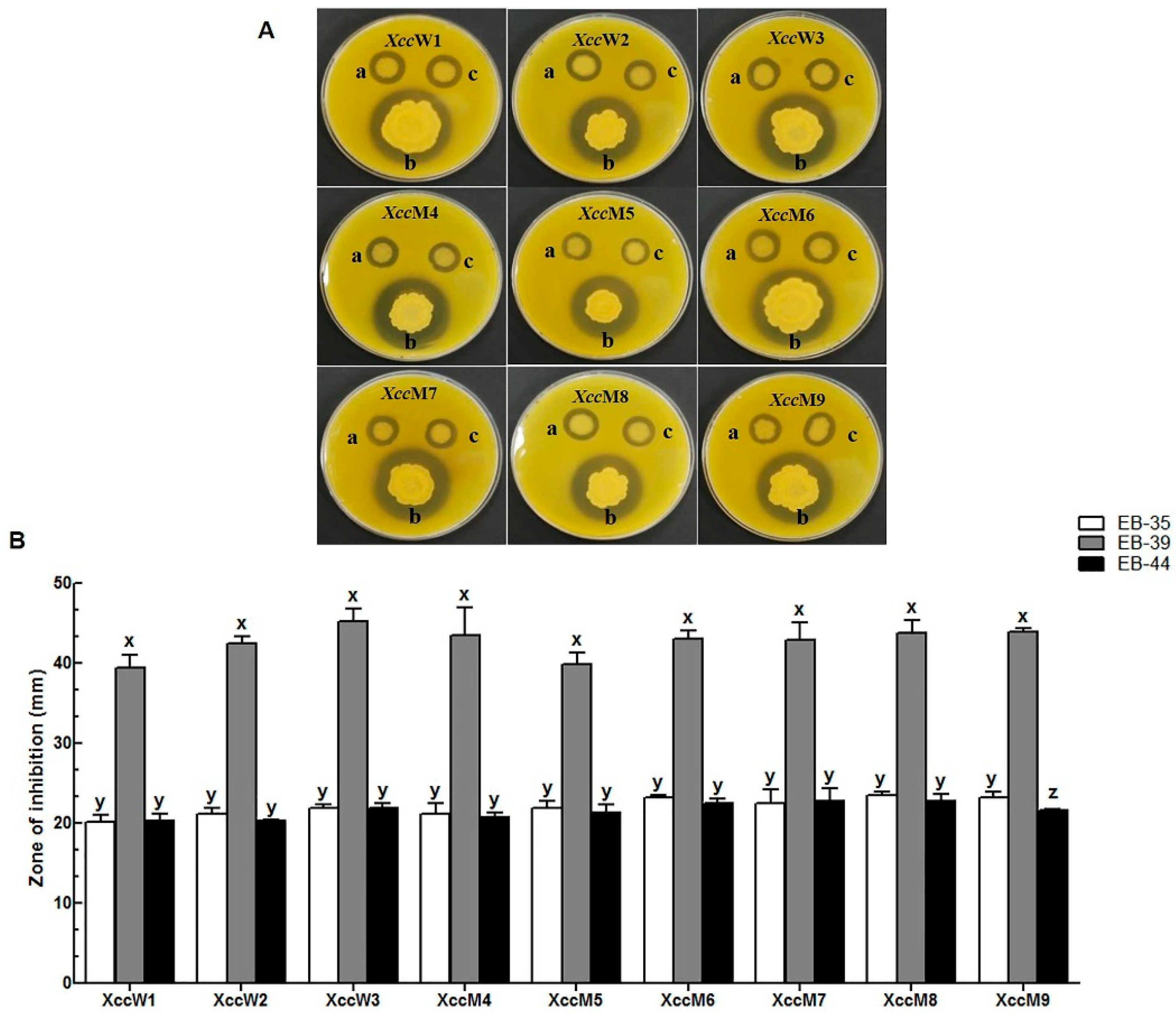 Agronomy 09 00470 g002