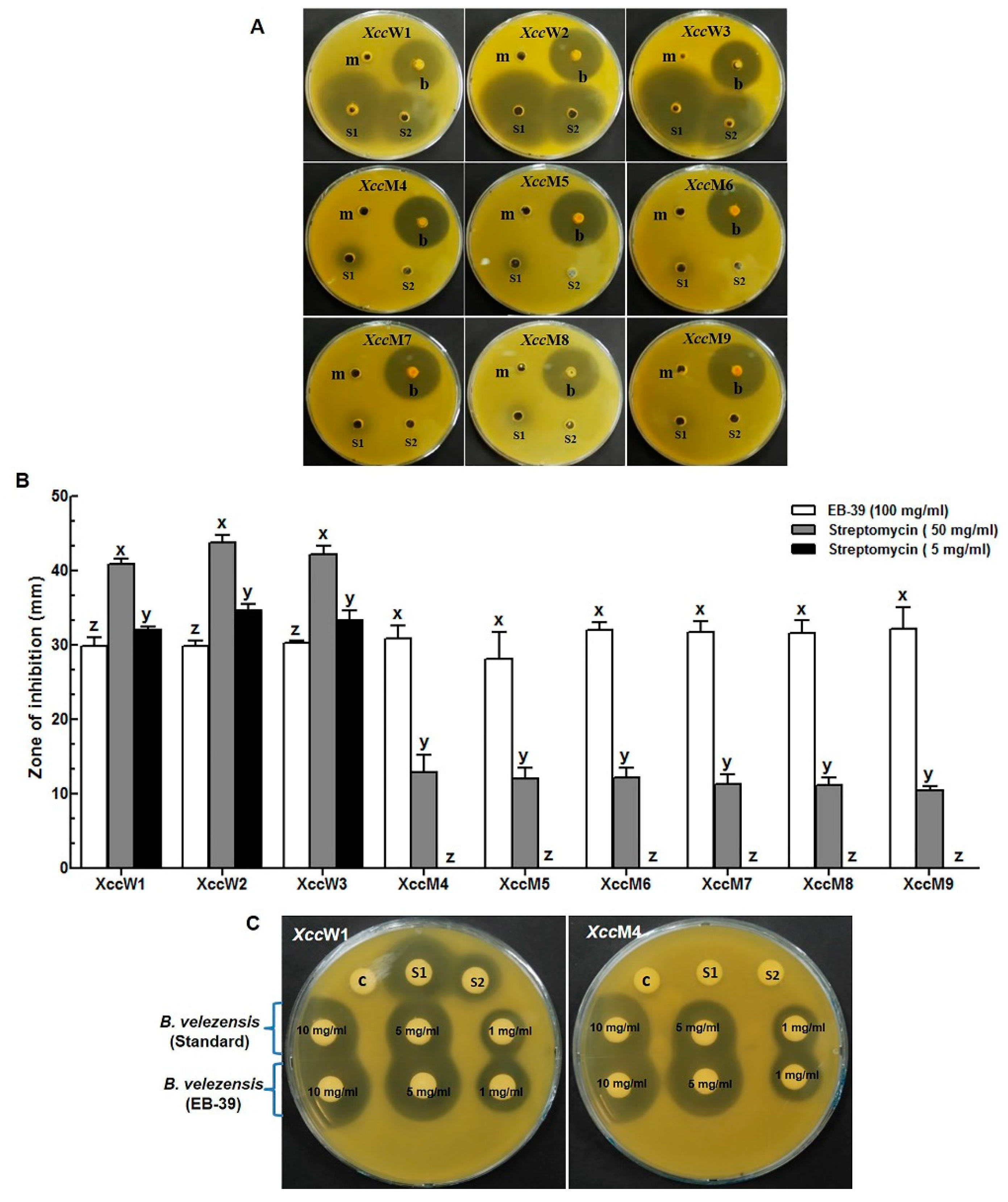 Agronomy 09 00470 g003