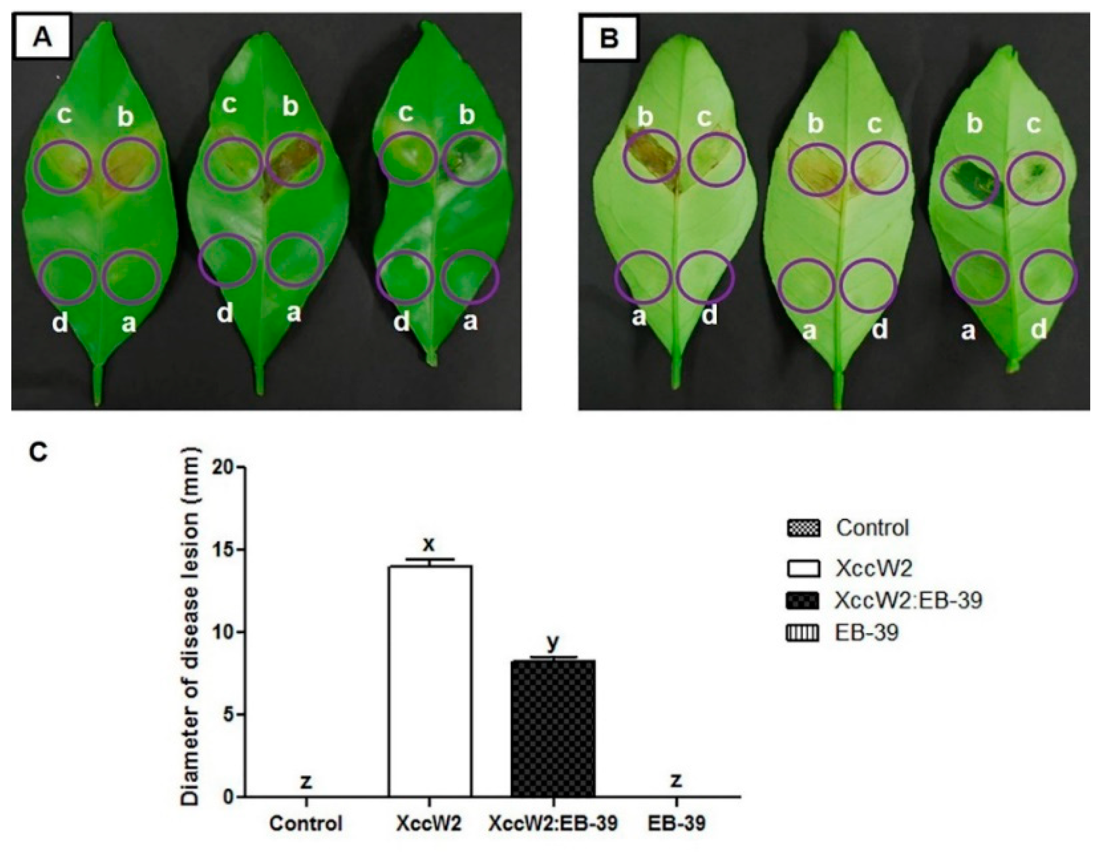 Agronomy 09 00470 g005