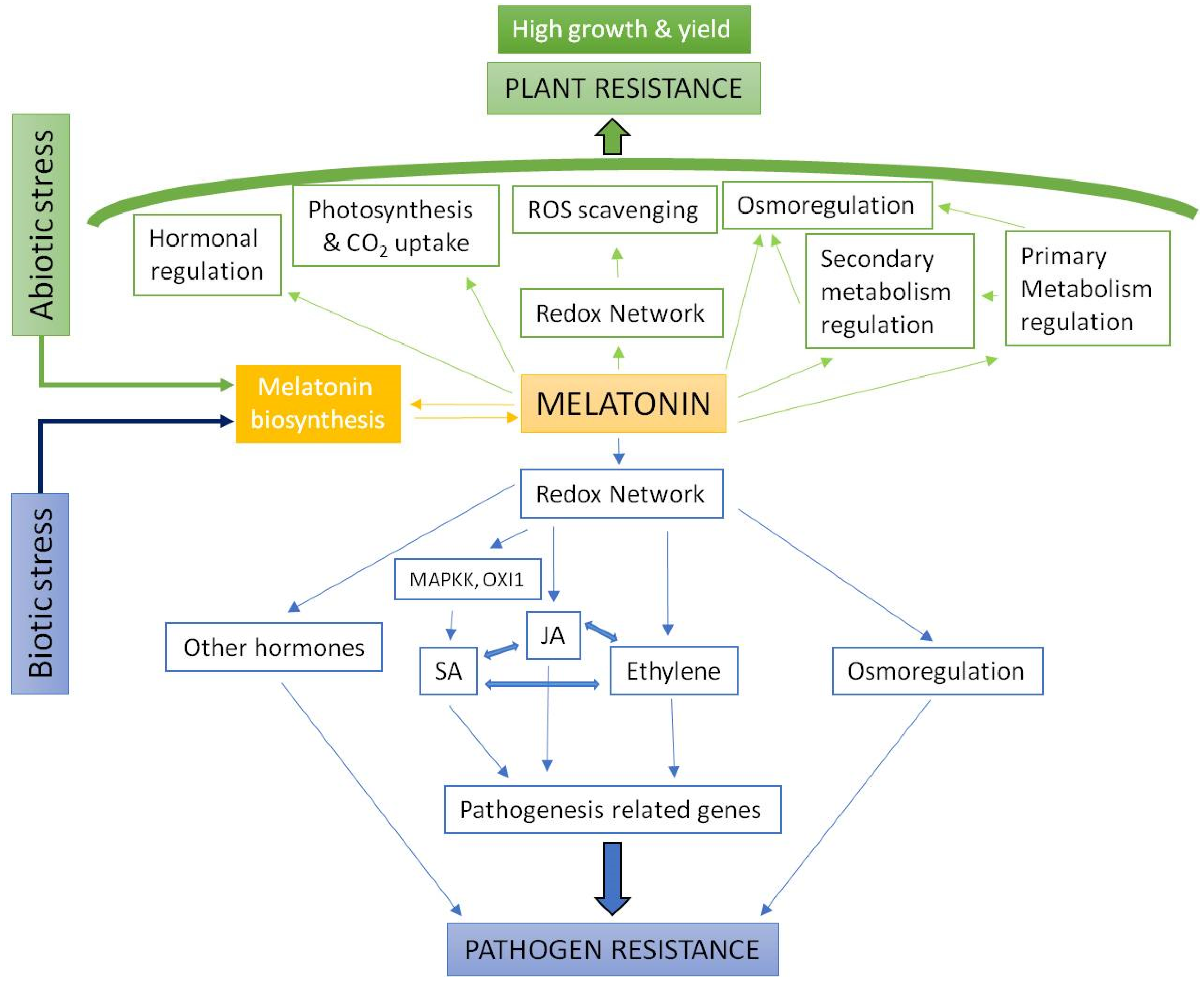 Agronomy 09 00570 g001