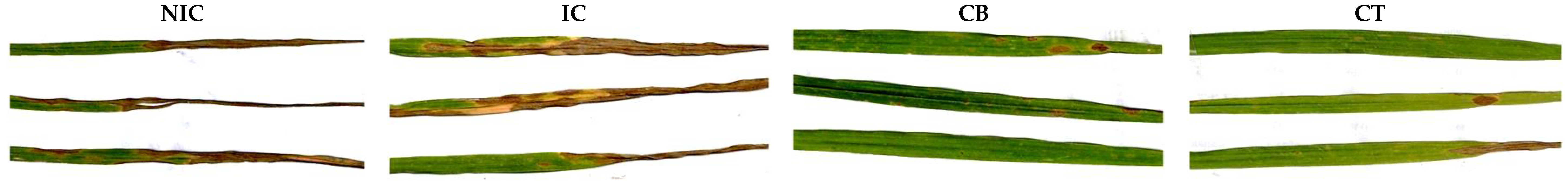 Agronomy 09 00586 g002