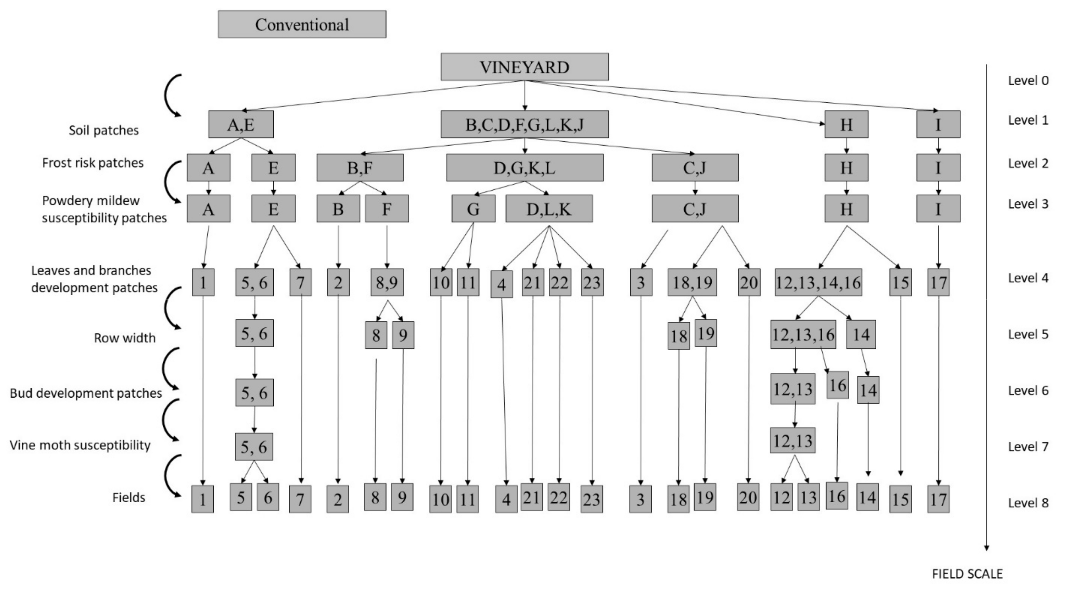 Agronomy 09 00604 g003