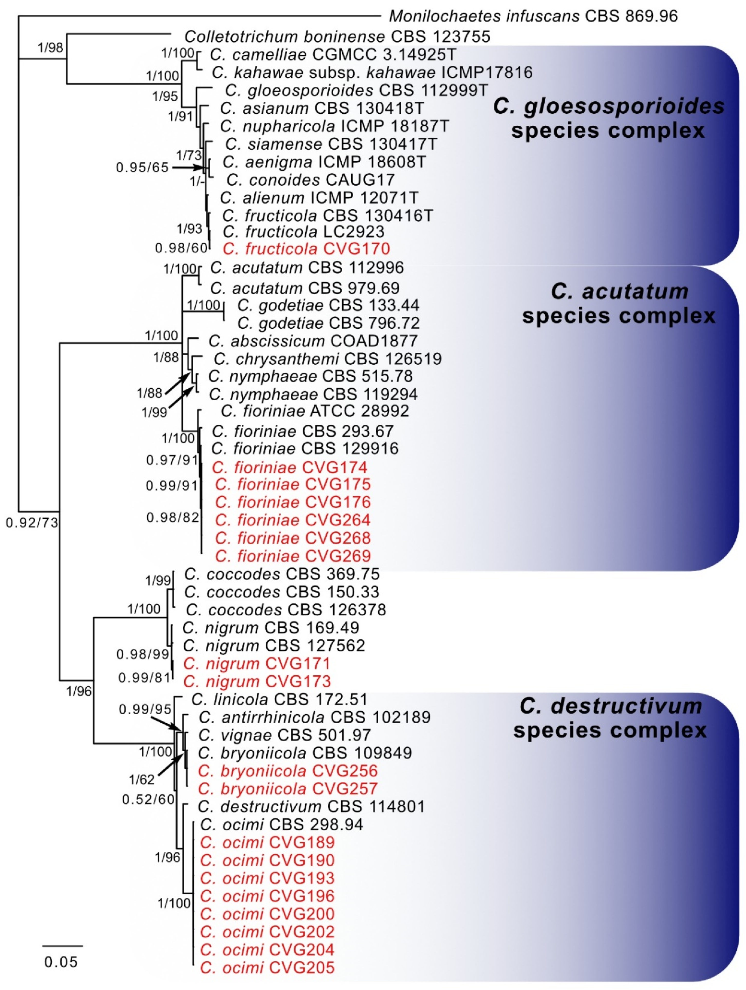 Agronomy 09 00613 g002