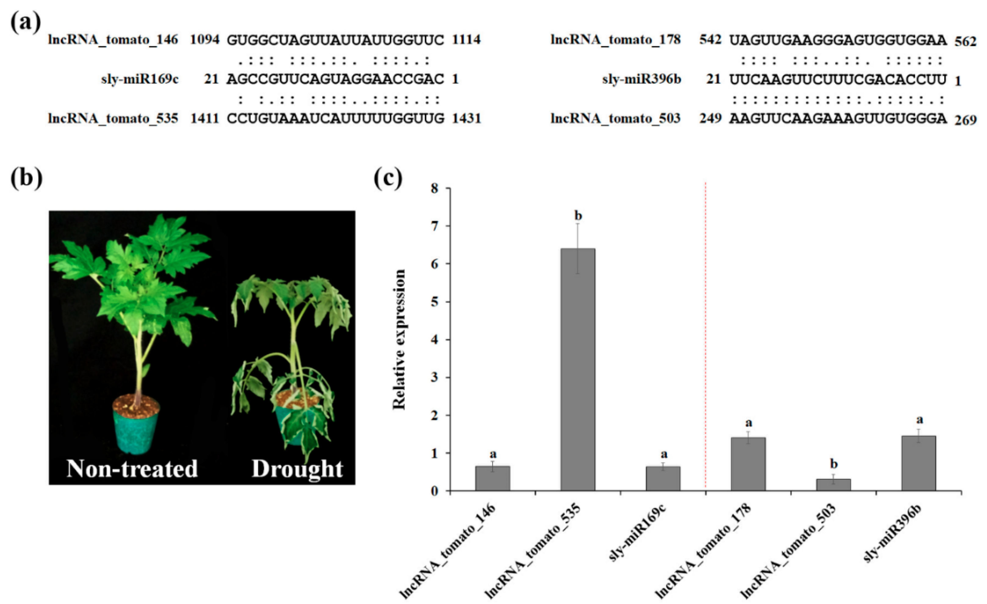 Agronomy 09 00629 g003