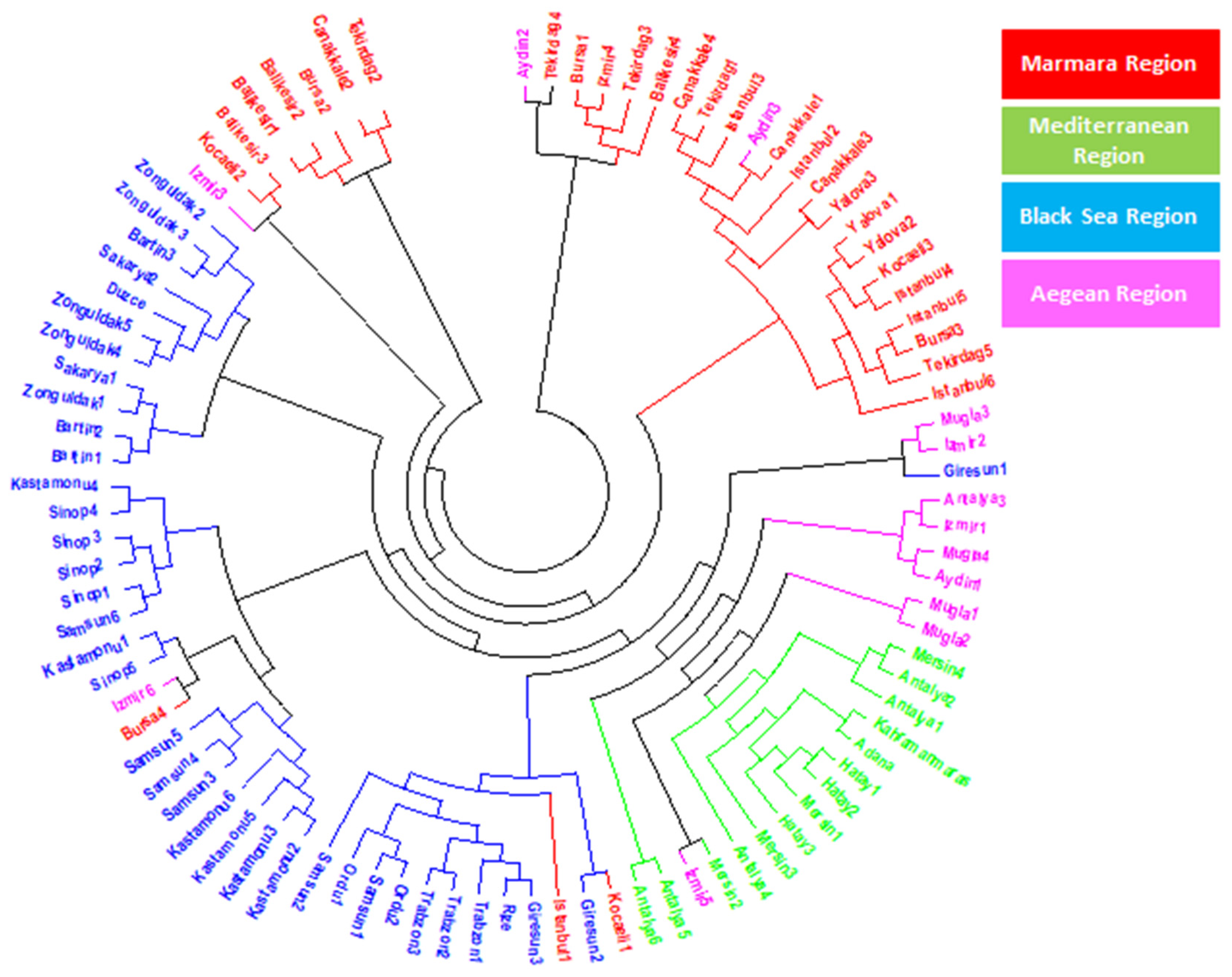 Agronomy 09 00647 g002