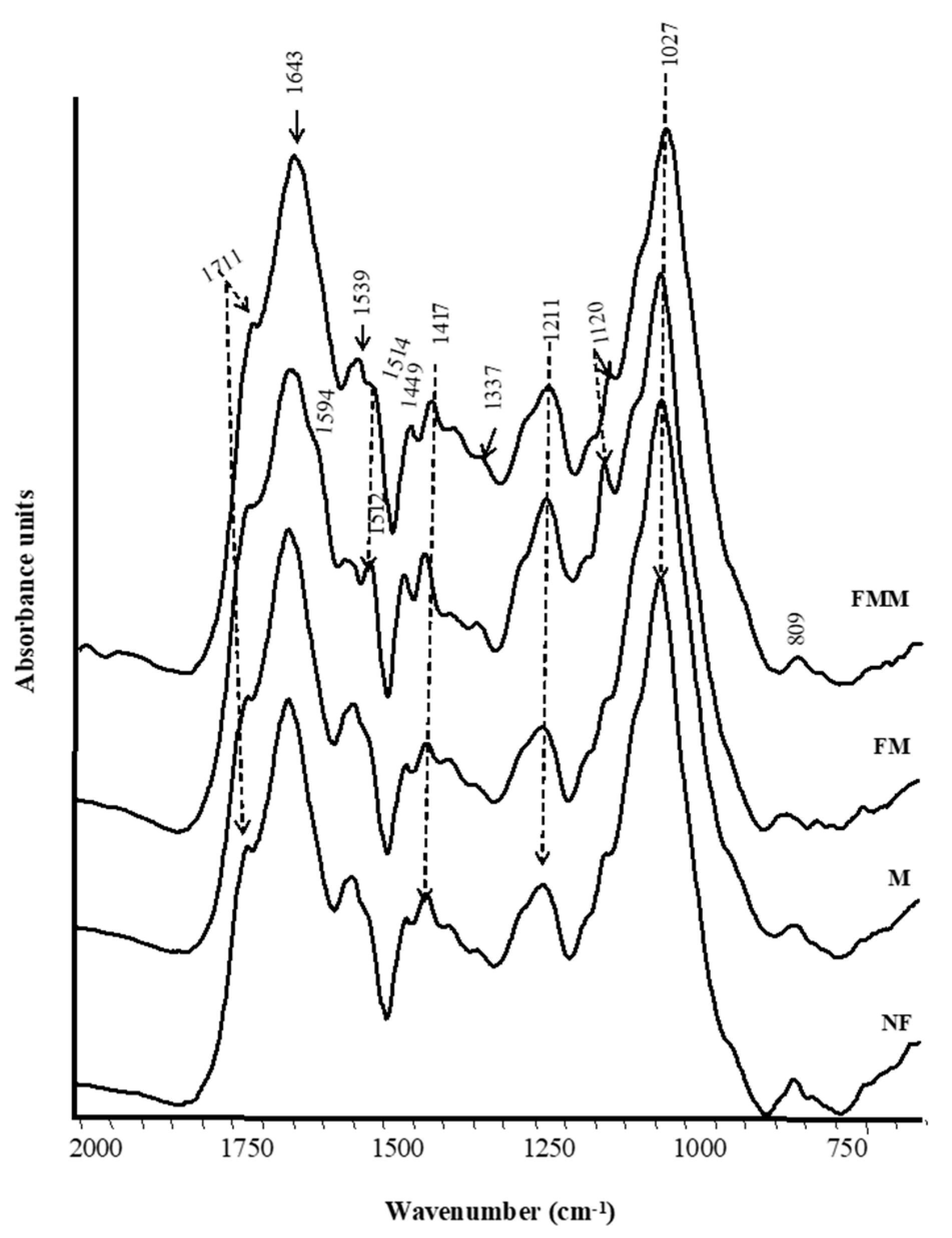 Agronomy 09 00659 g002