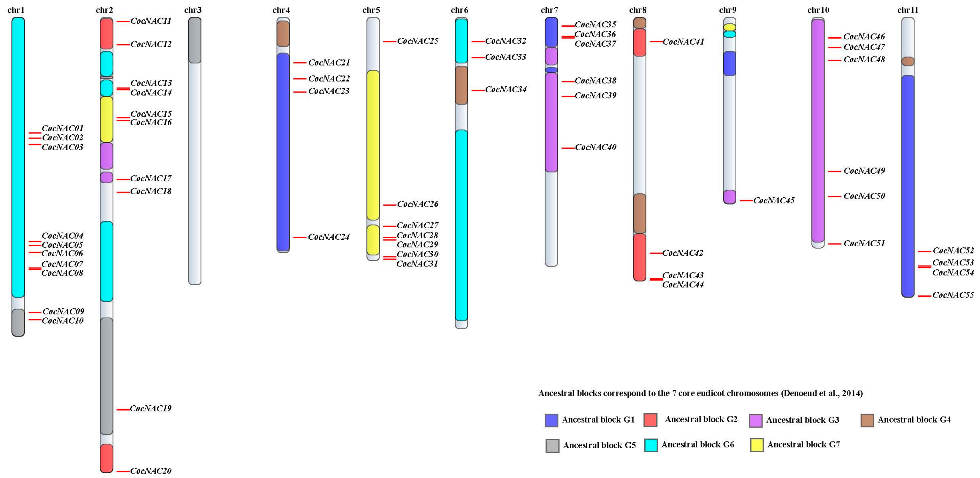 Agronomy 09 00670 g001