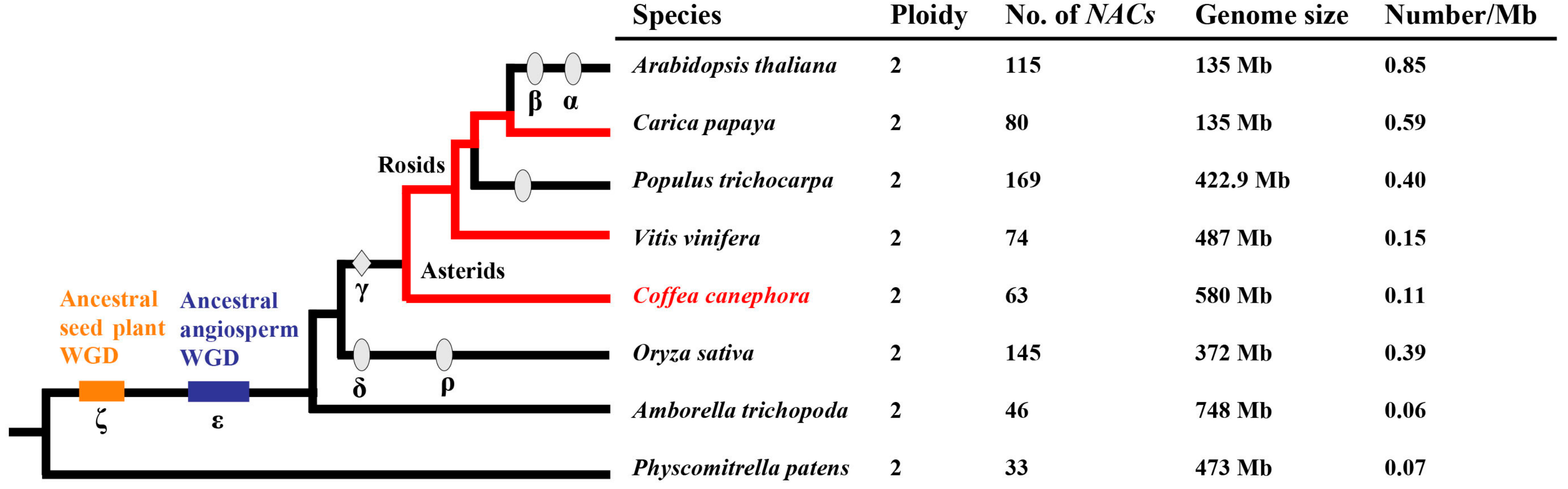 Agronomy 09 00670 g002