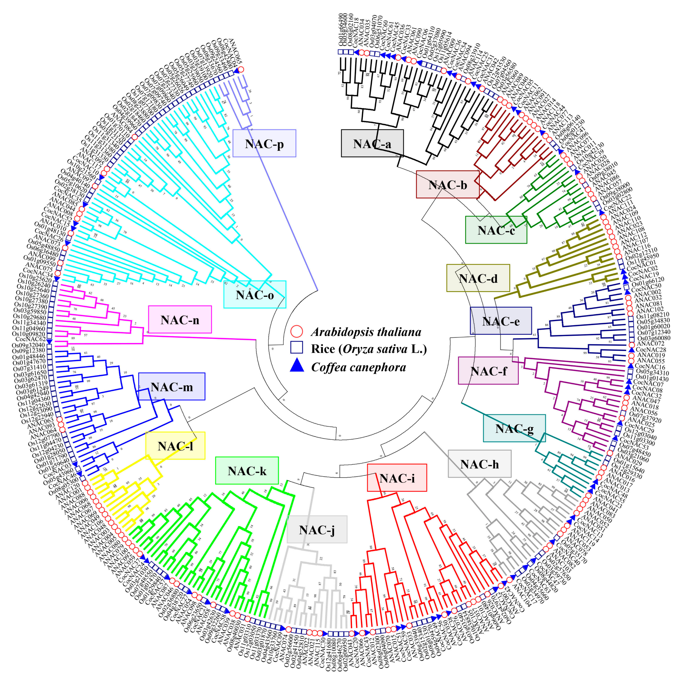 Agronomy 09 00670 g003
