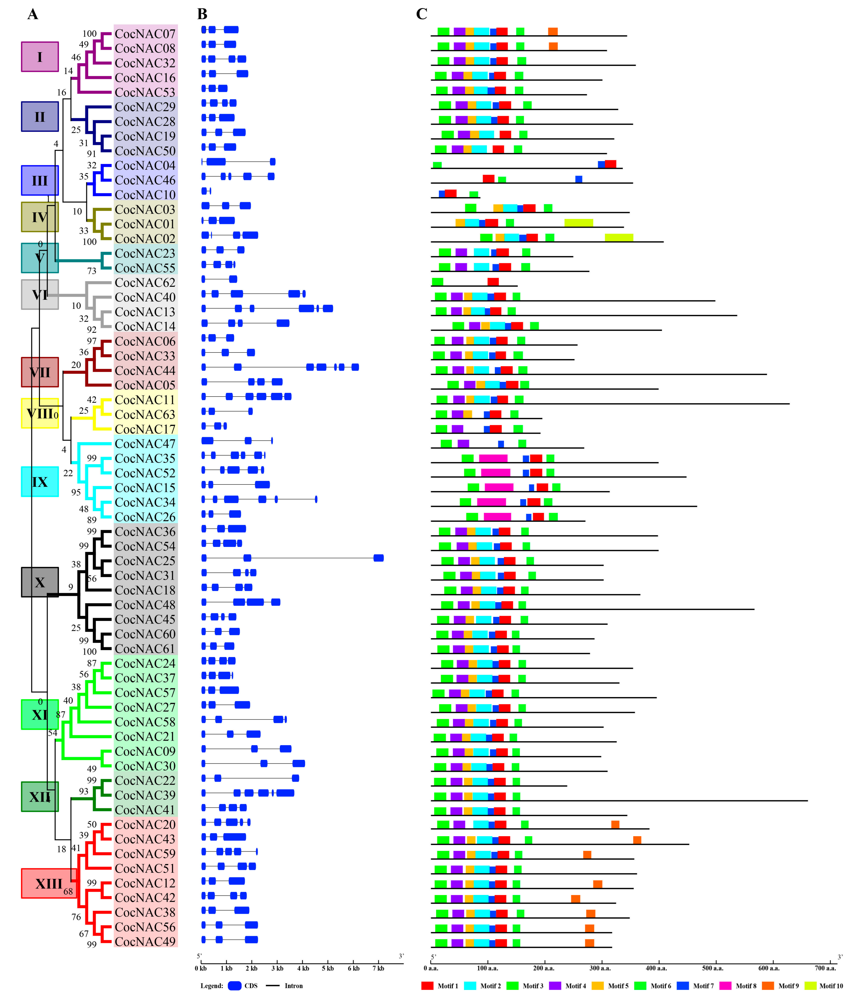 Agronomy 09 00670 g004