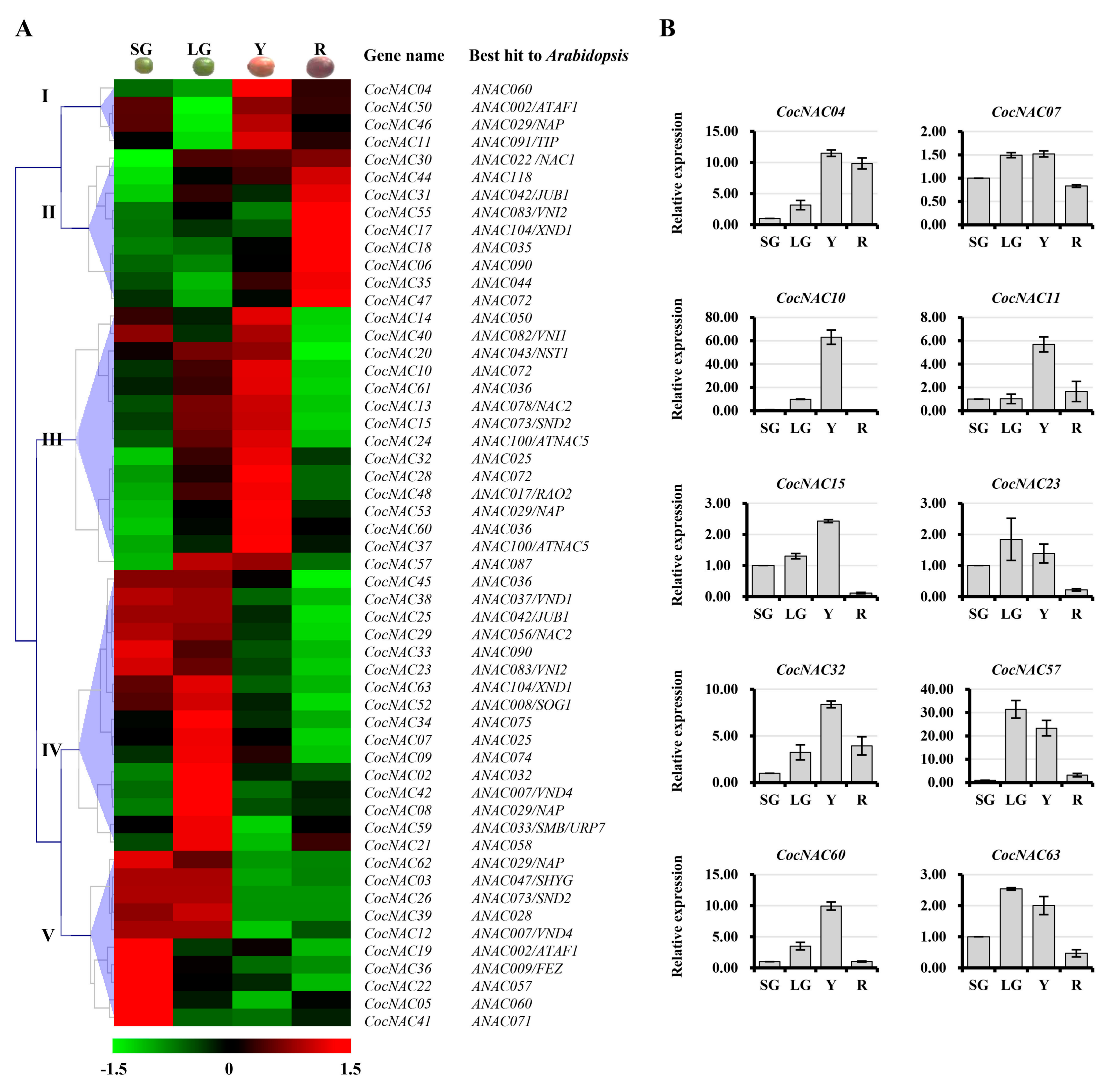 Agronomy 09 00670 g006