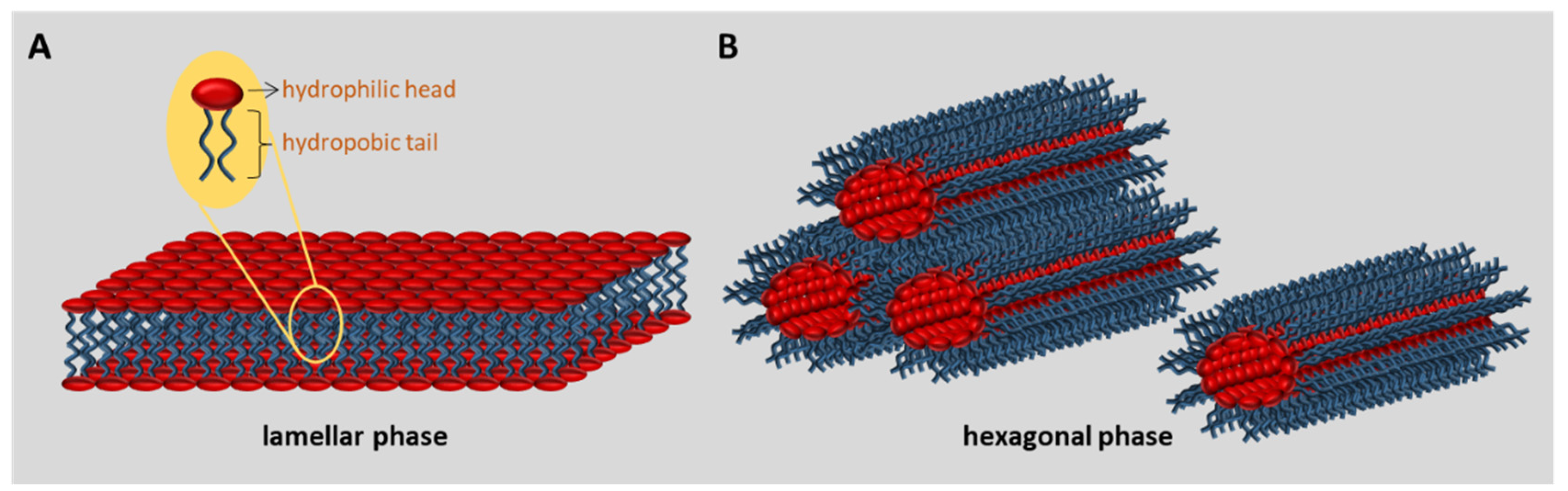 Agronomy 09 00684 g002
