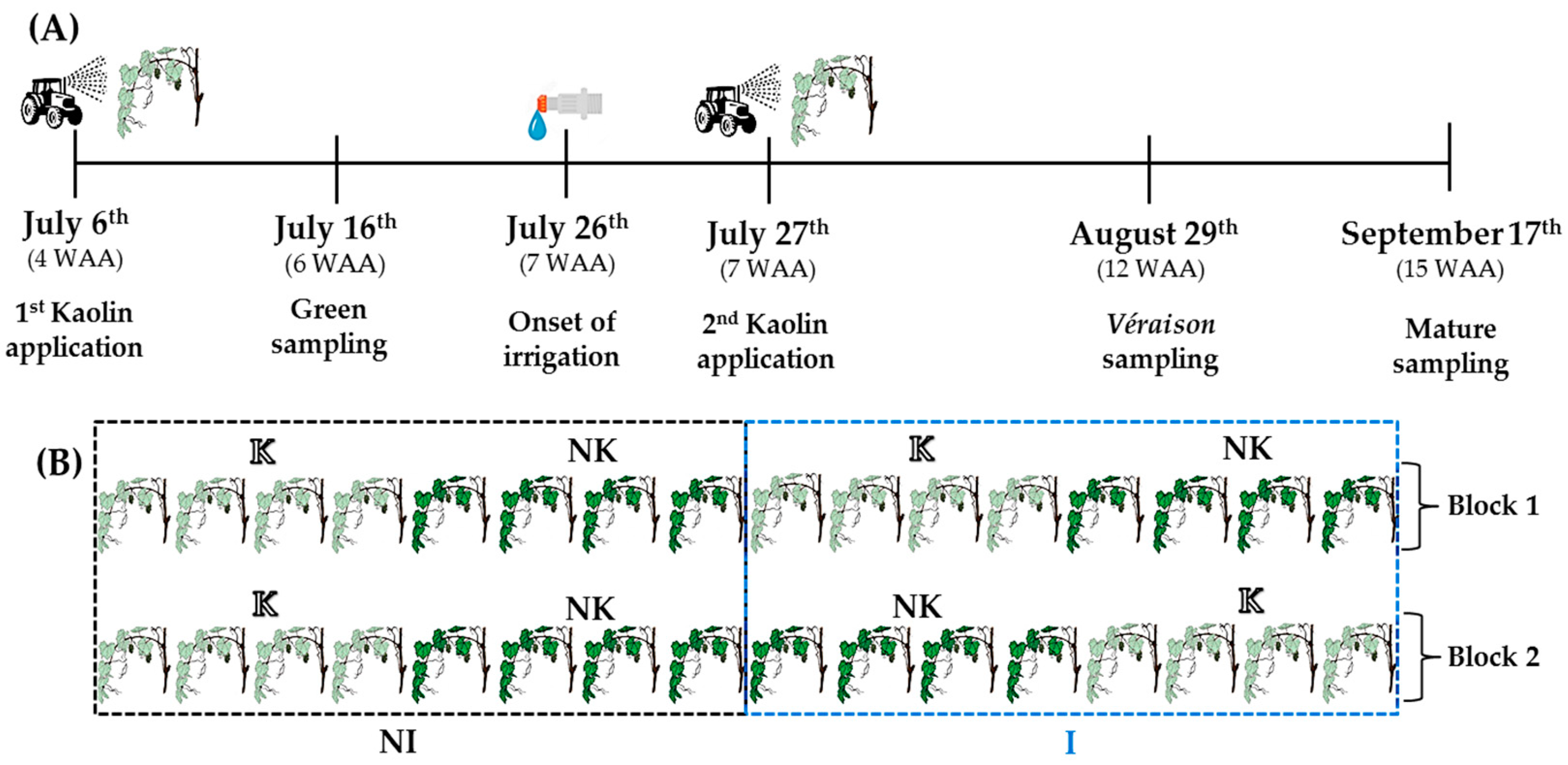 Agronomy 09 00685 g001