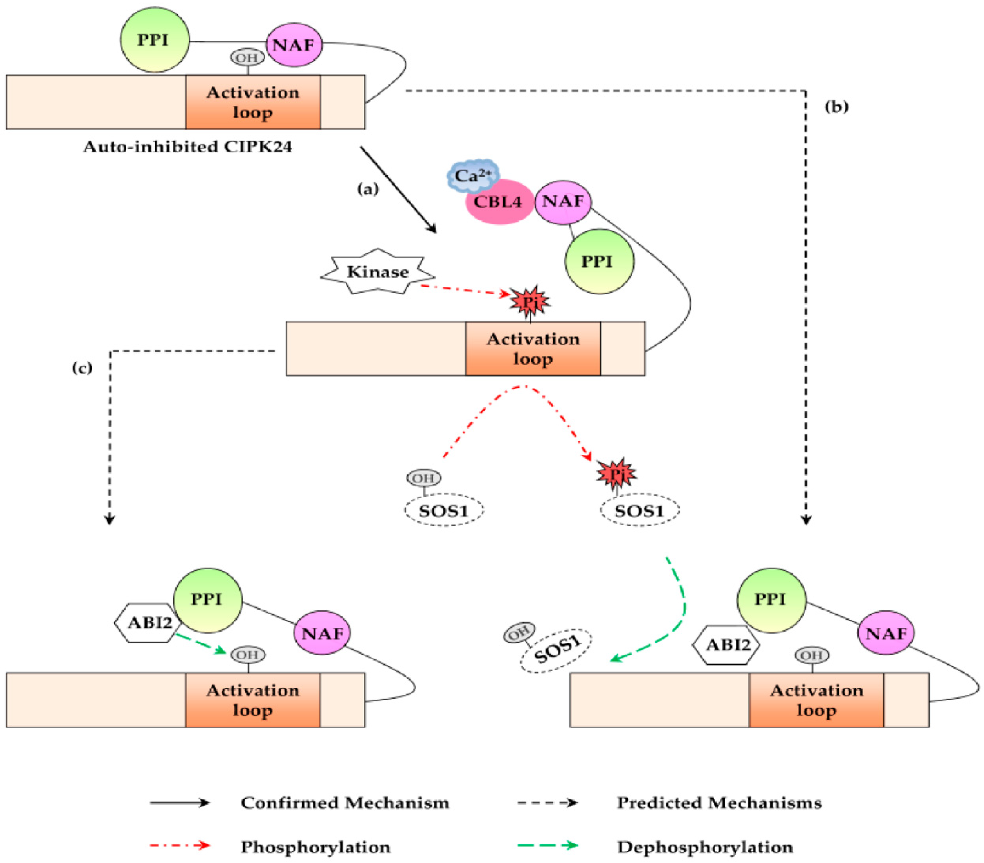 Agronomy 09 00687 g003