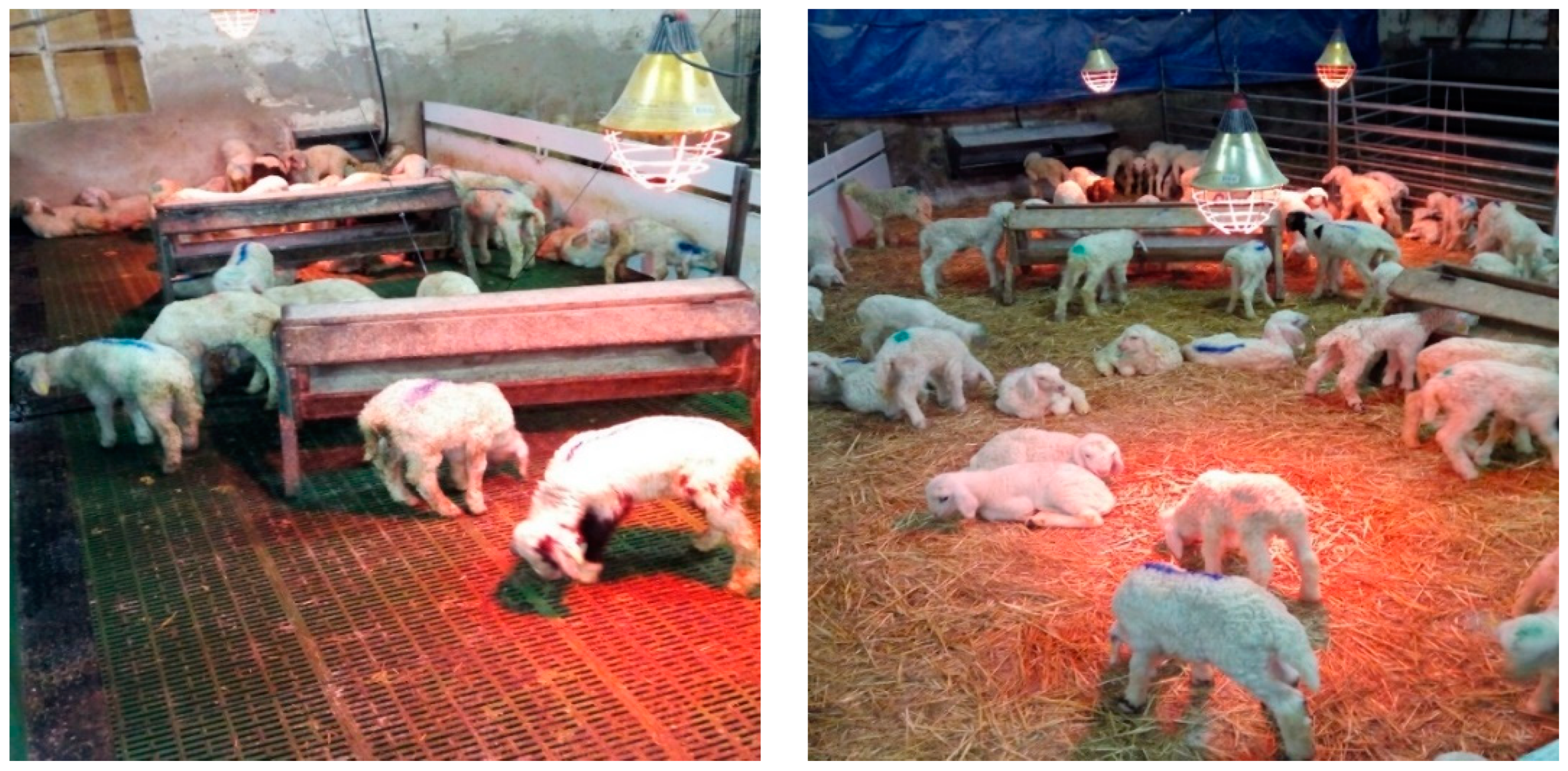 Agronomy 09 00694 g001 Agronomy 09 00694 g001