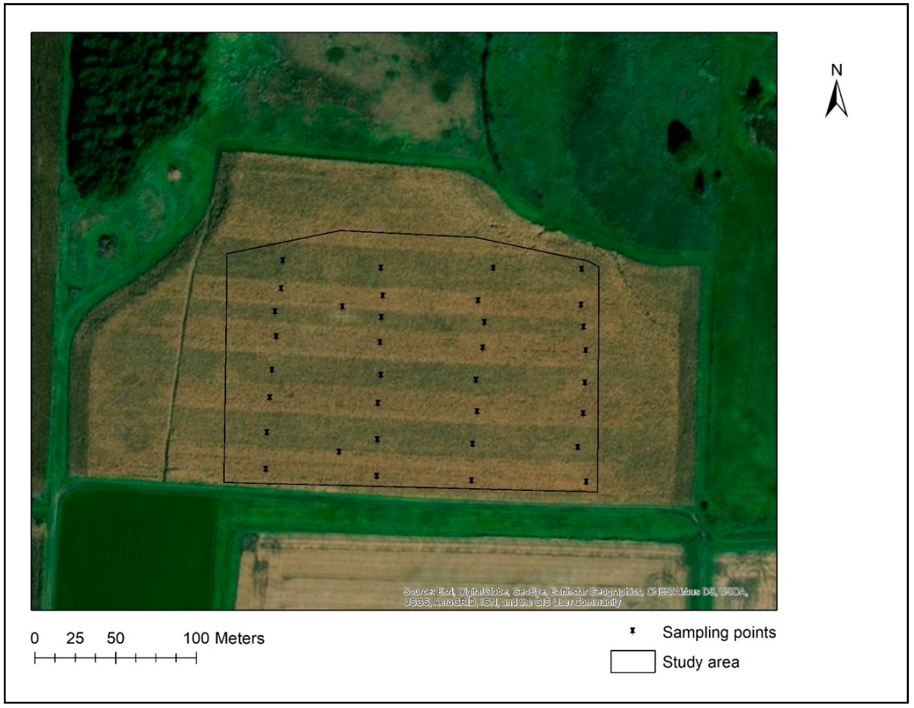 Agronomy 09 00719 g001