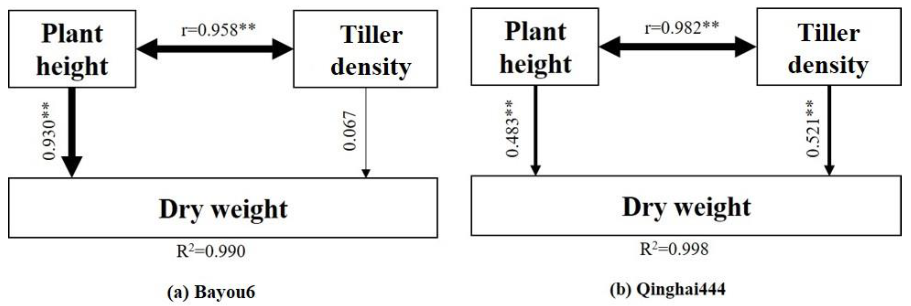 Agronomy 09 00721 g007