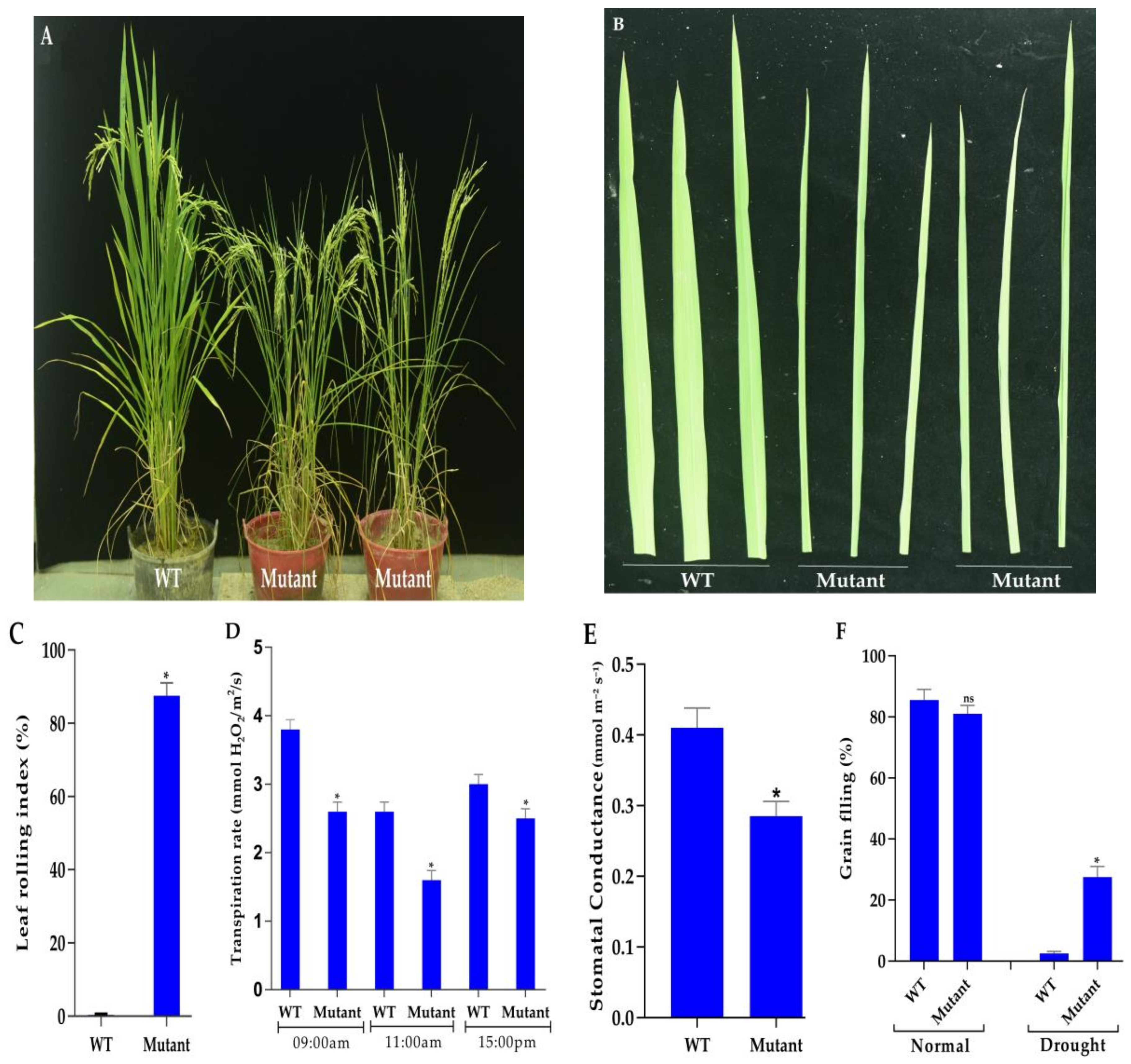 Agronomy 09 00728 g003
