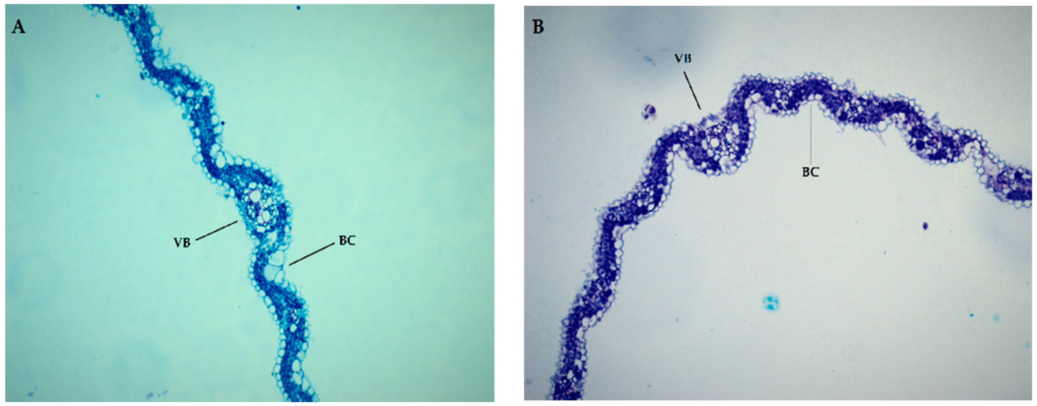 Agronomy 09 00728 g004a