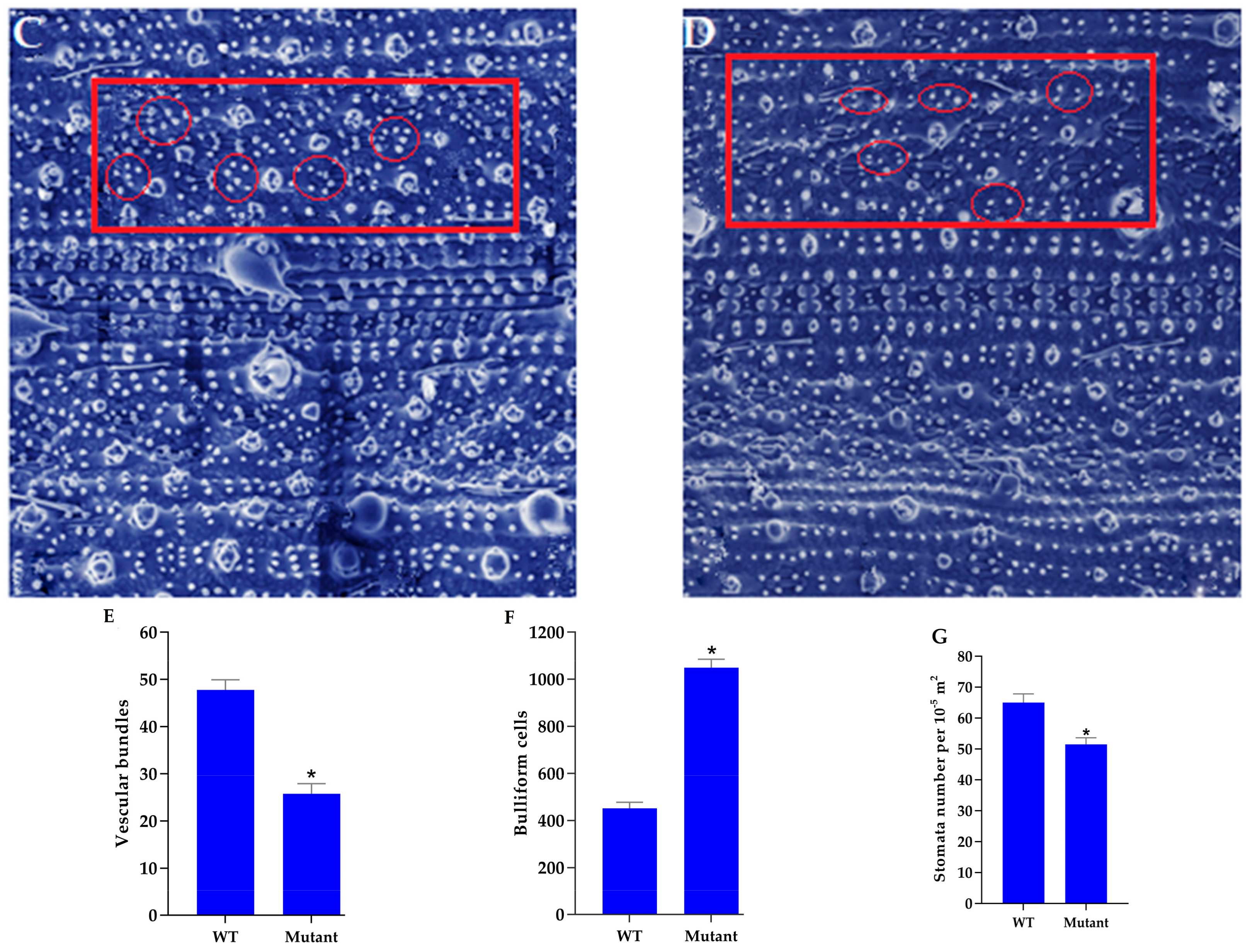 Agronomy 09 00728 g004b
