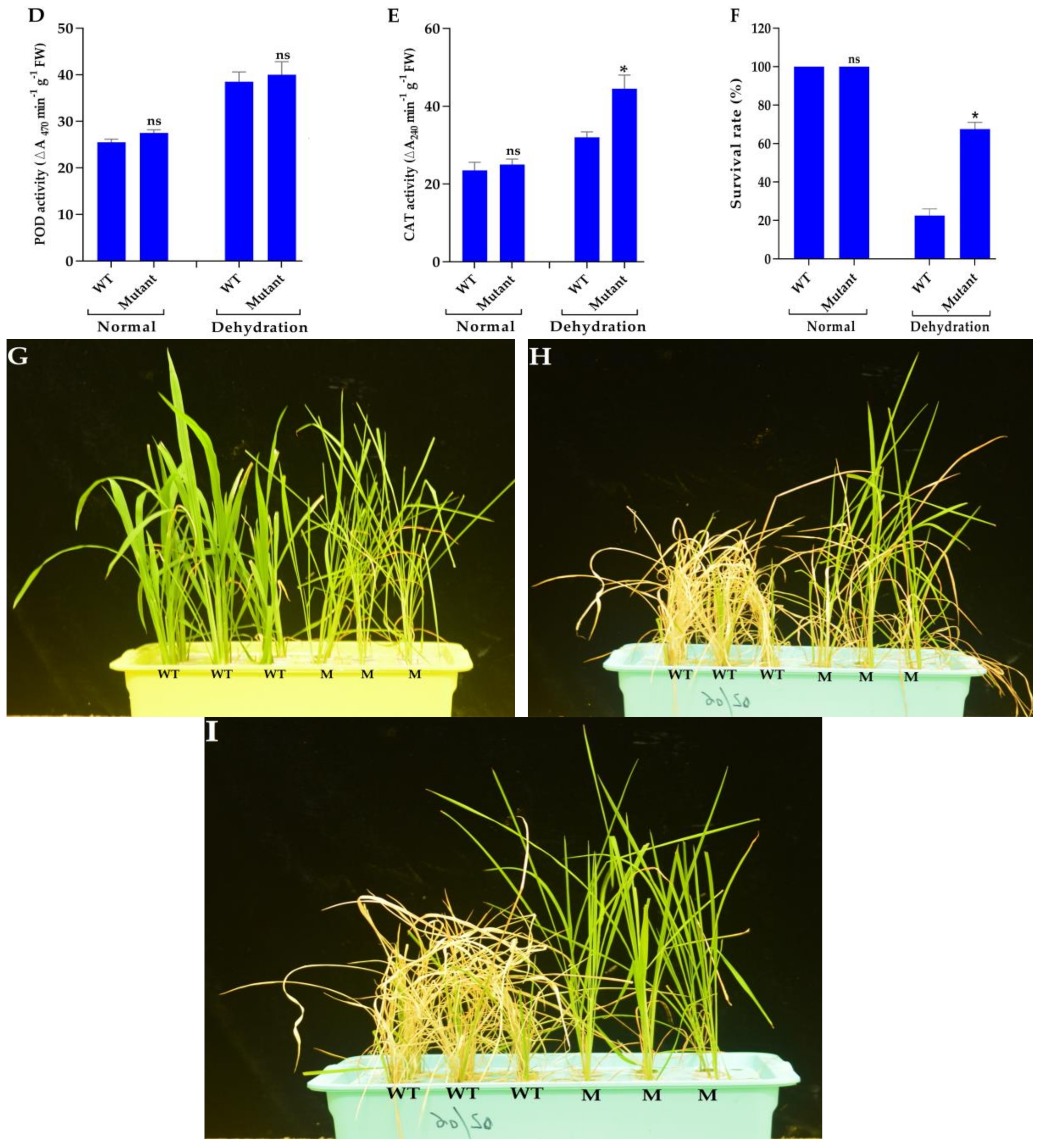 Agronomy 09 00728 g005b