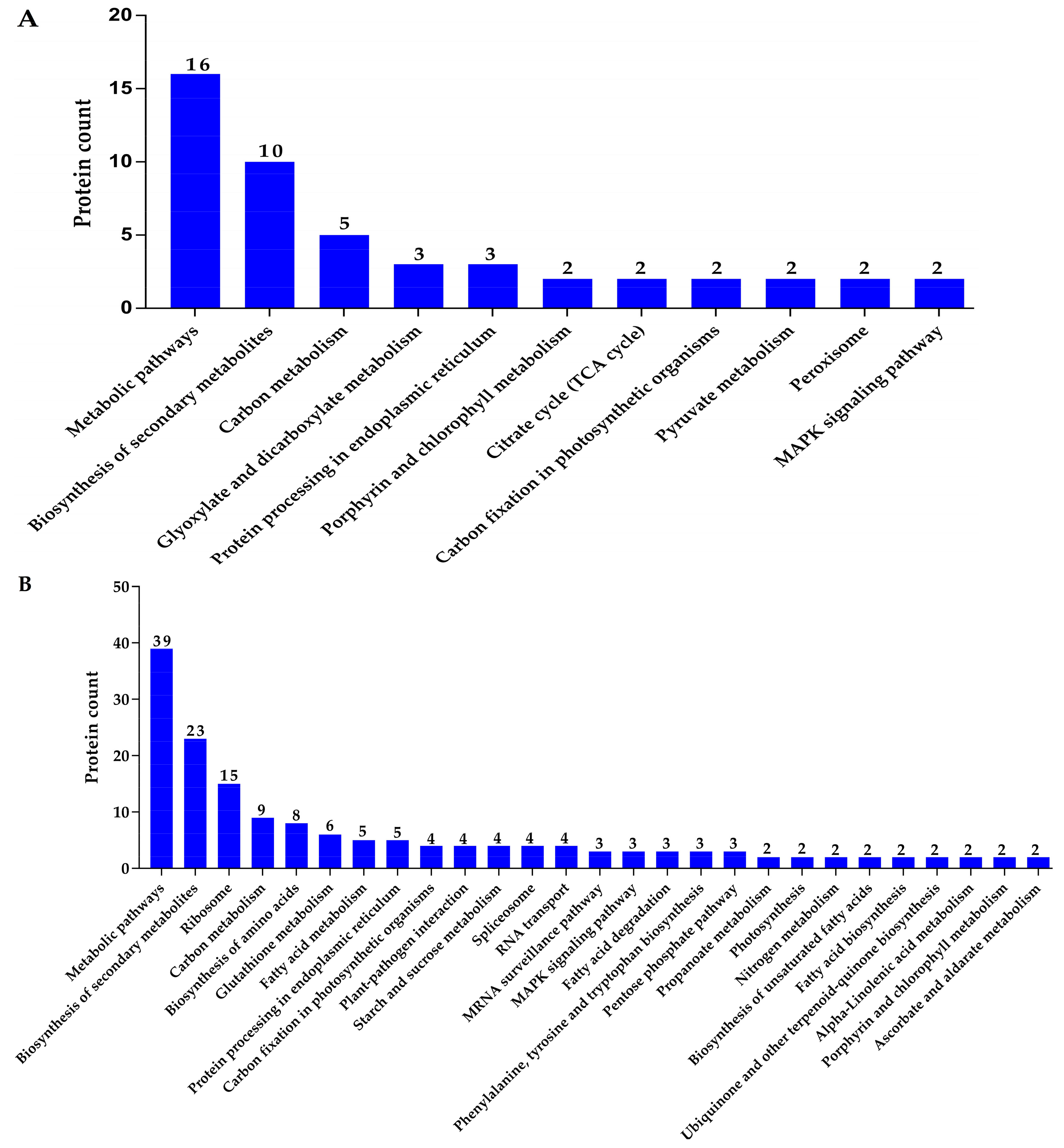 Agronomy 09 00728 g009