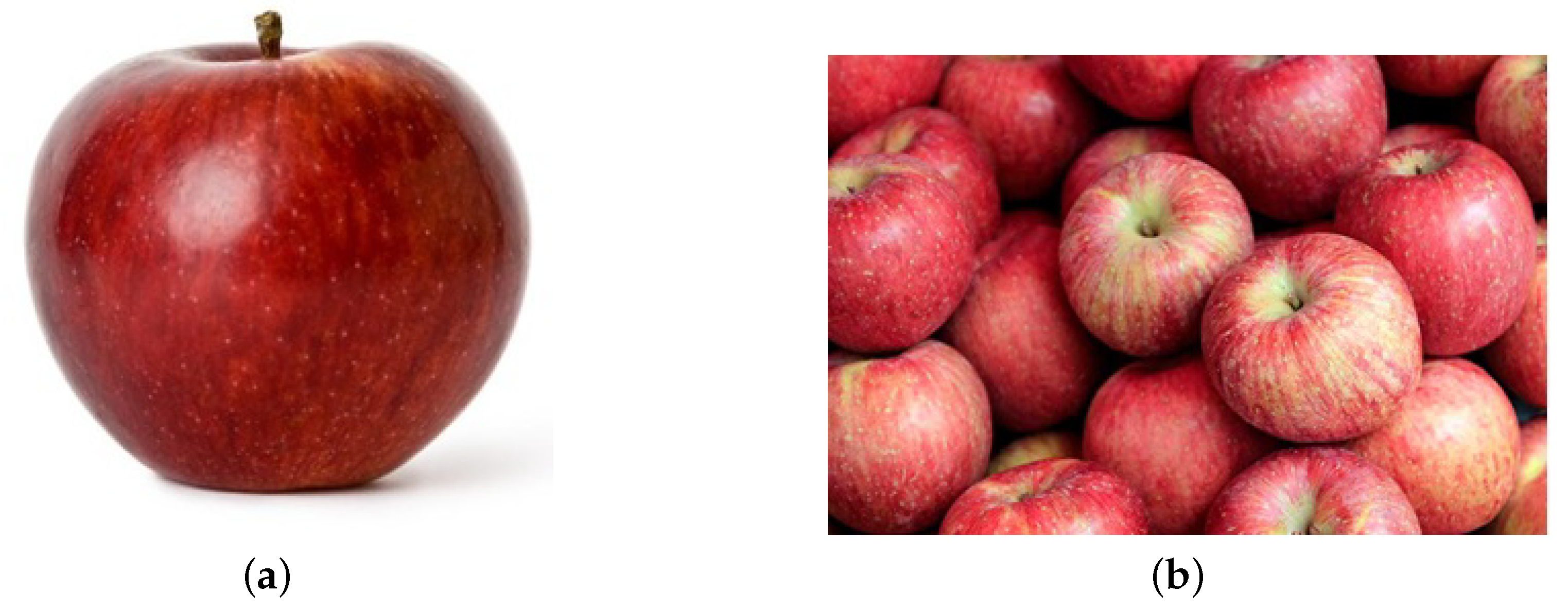 Agronomy 09 00735 g002