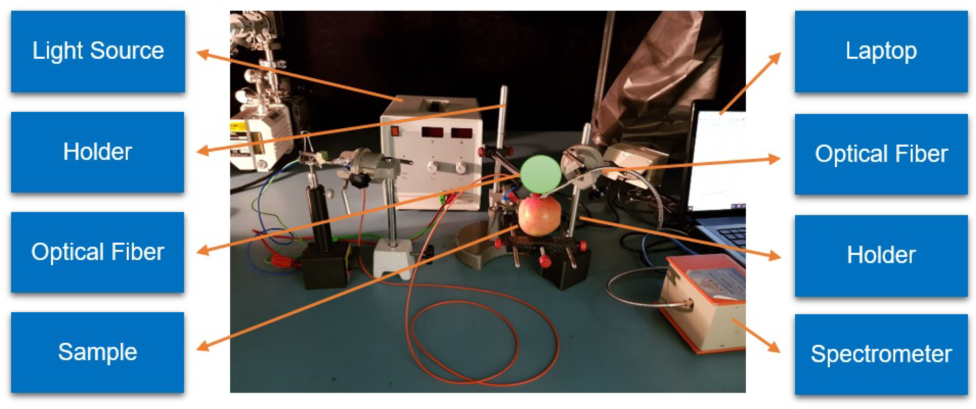 Agronomy 09 00735 g003