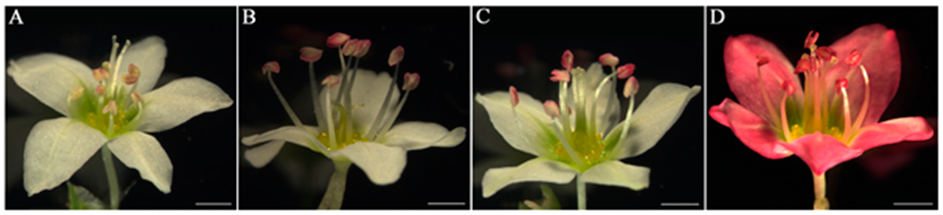 Agronomy 09 00768 g001 Agronomy 09 00768 g001