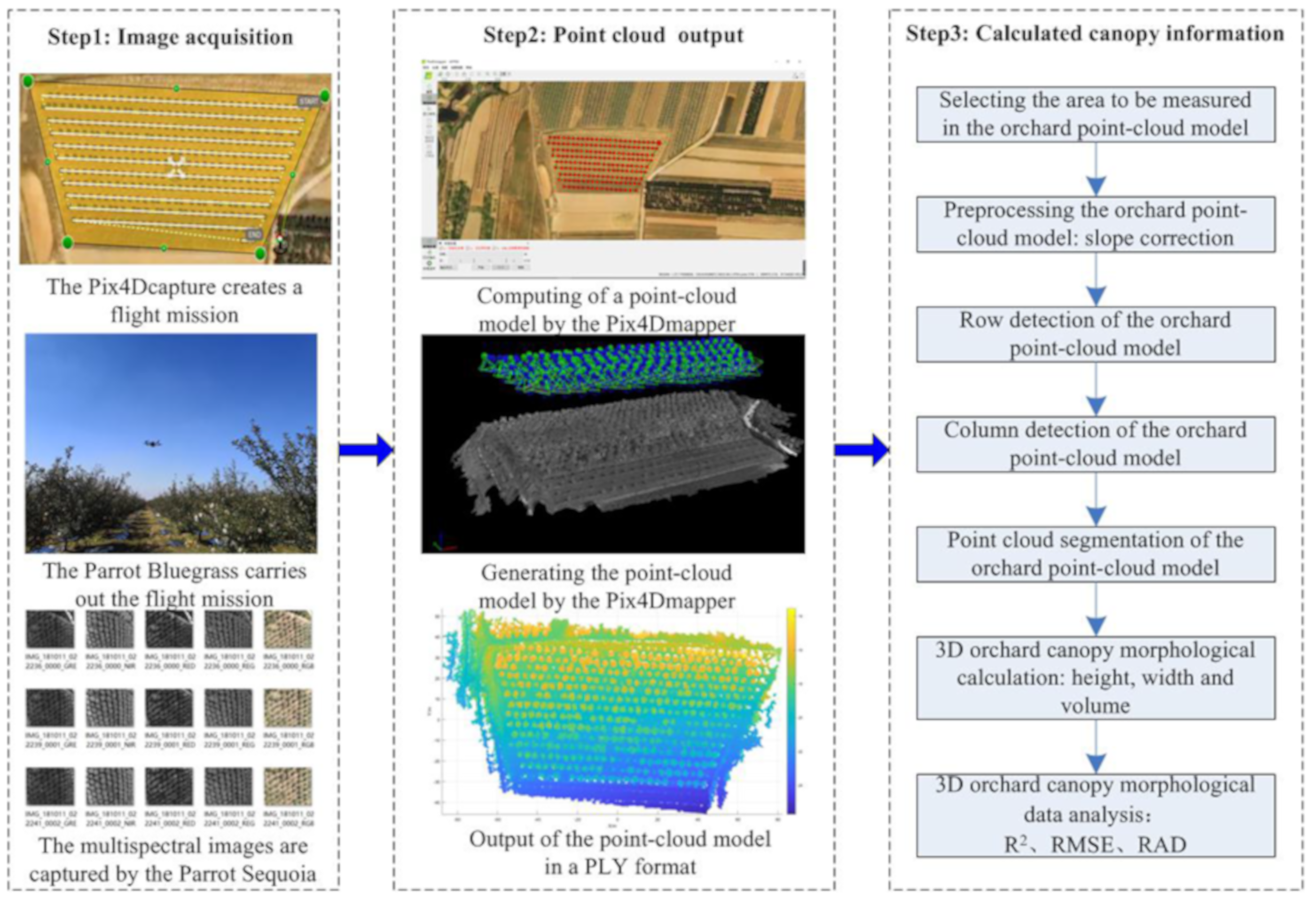 Agronomy 09 00774 g001