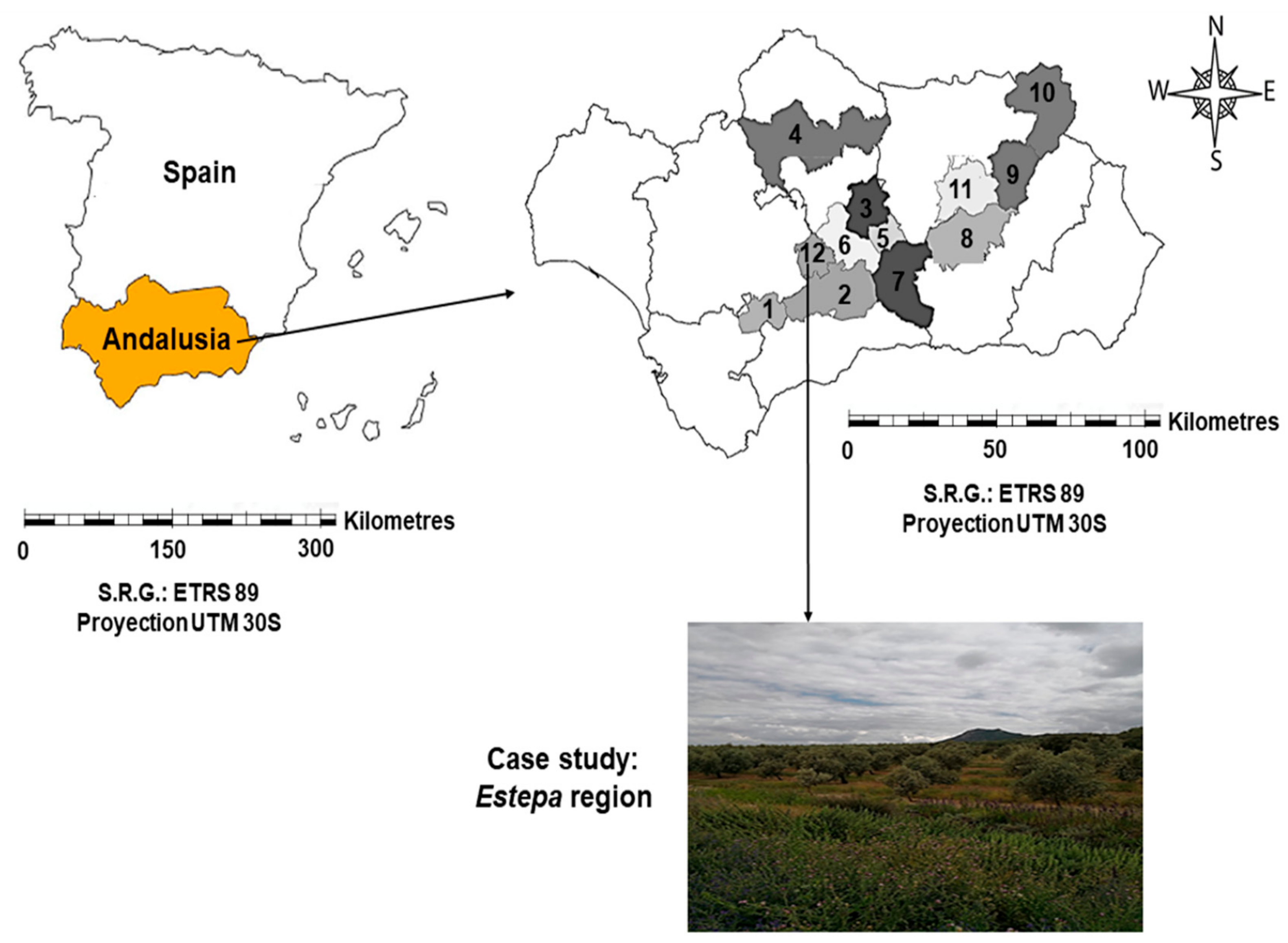 Agronomy 09 00785 g001