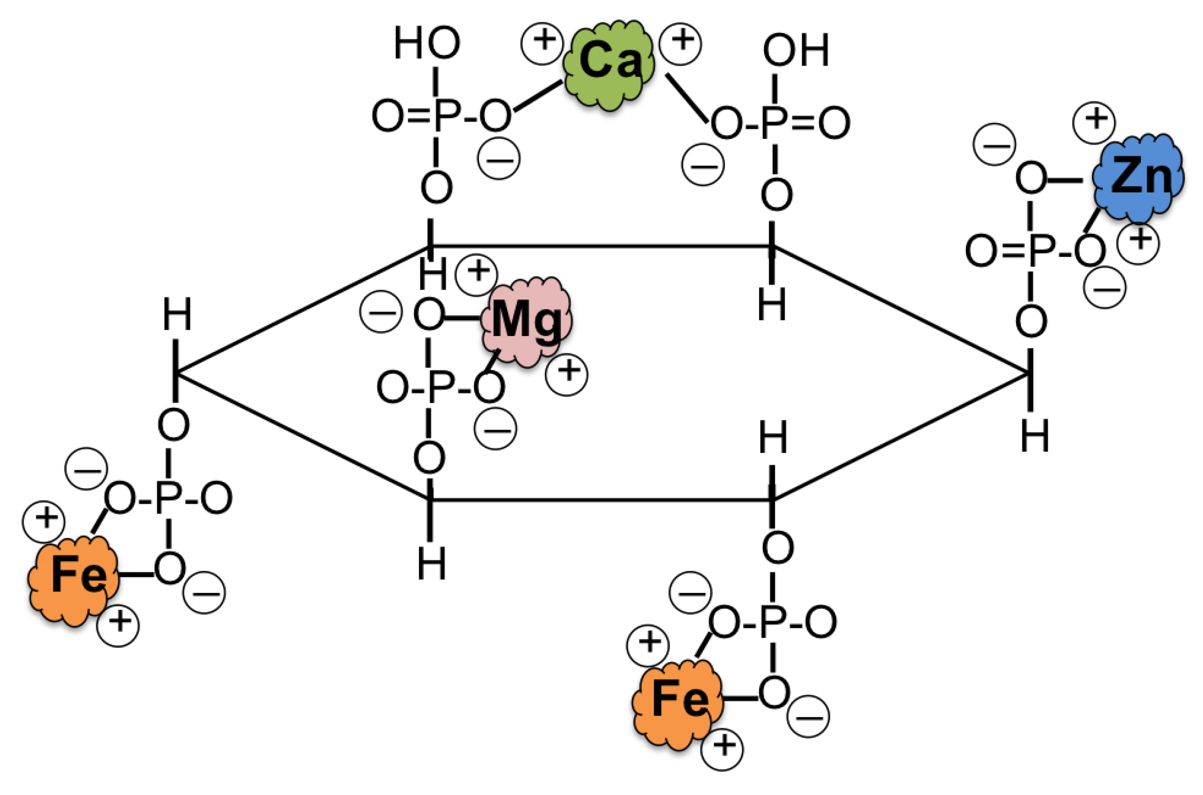 Agronomy 09 00803 g003
