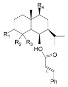 Agronomy 09 00804 i016