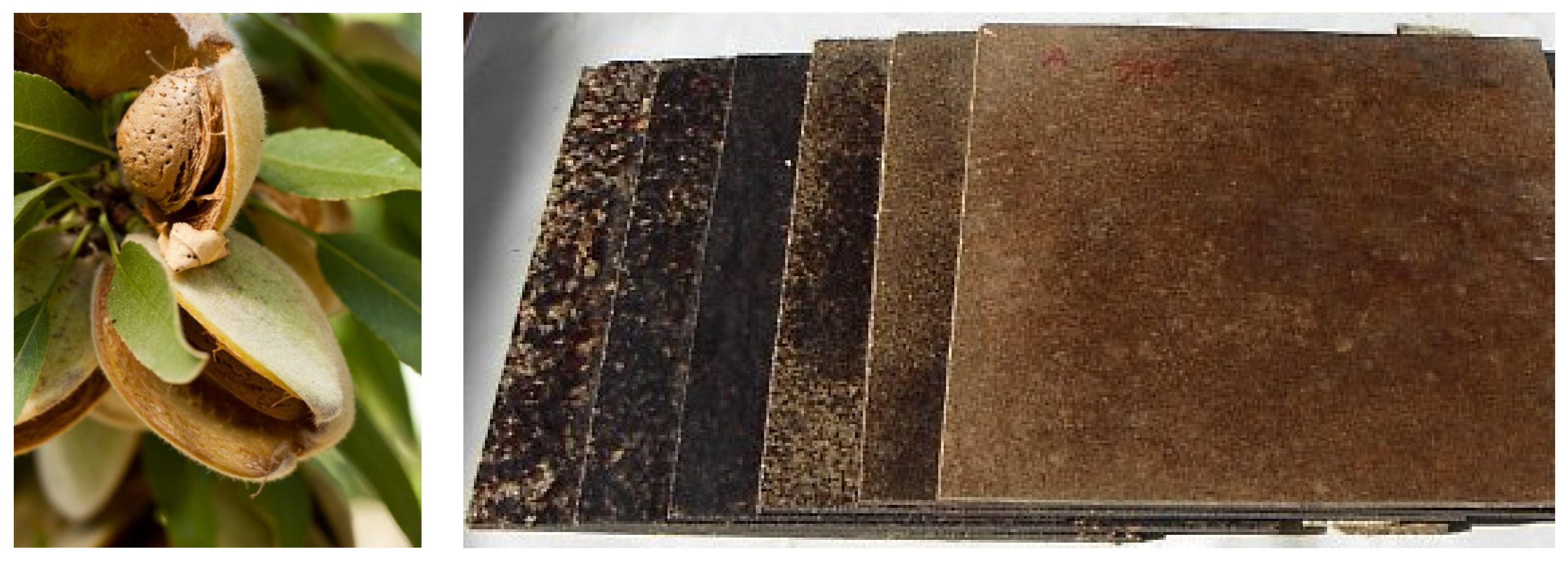 Agronomy 09 00811 g001