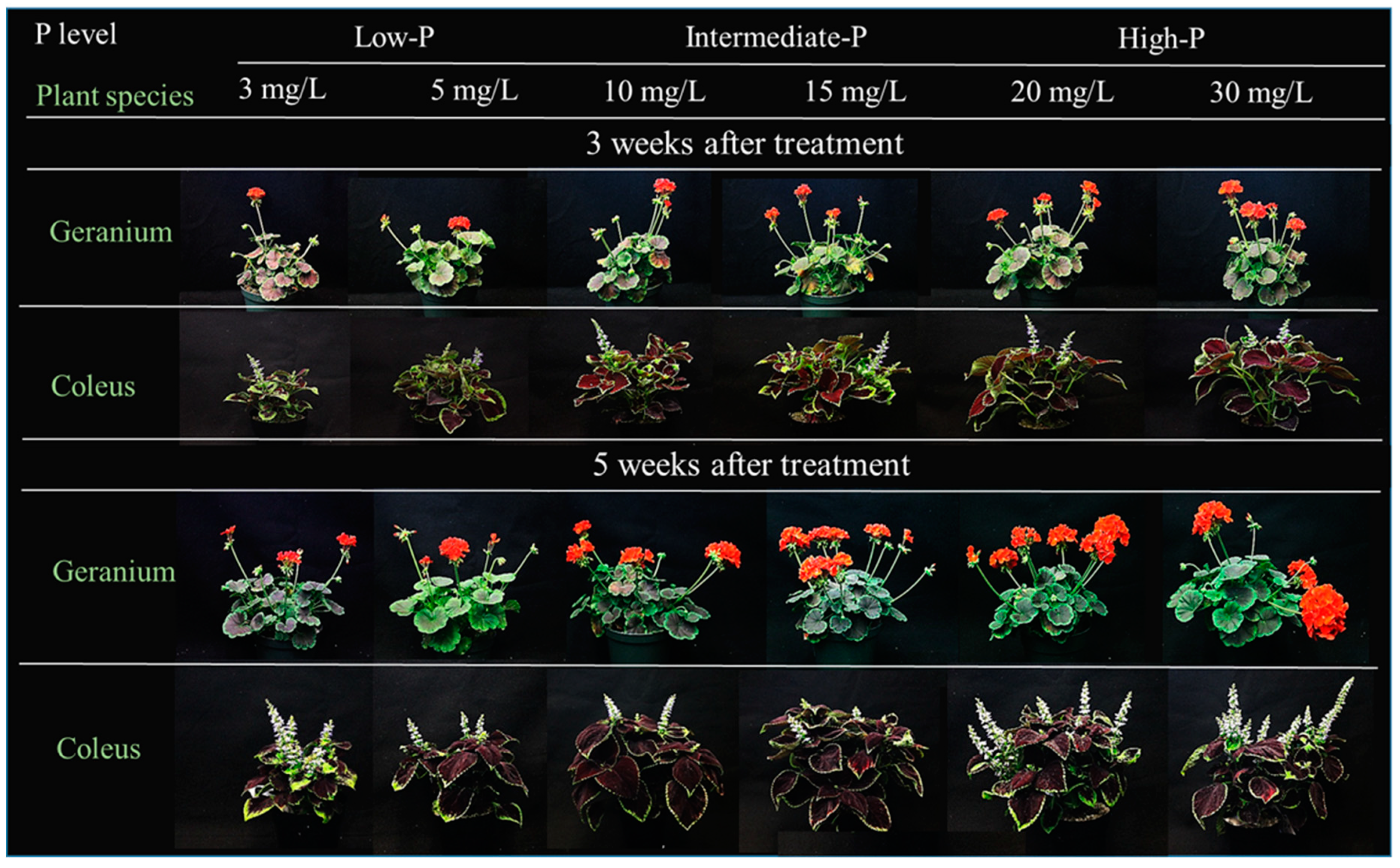 Agronomy 09 00813 g001 Agronomy 09 00813 g001