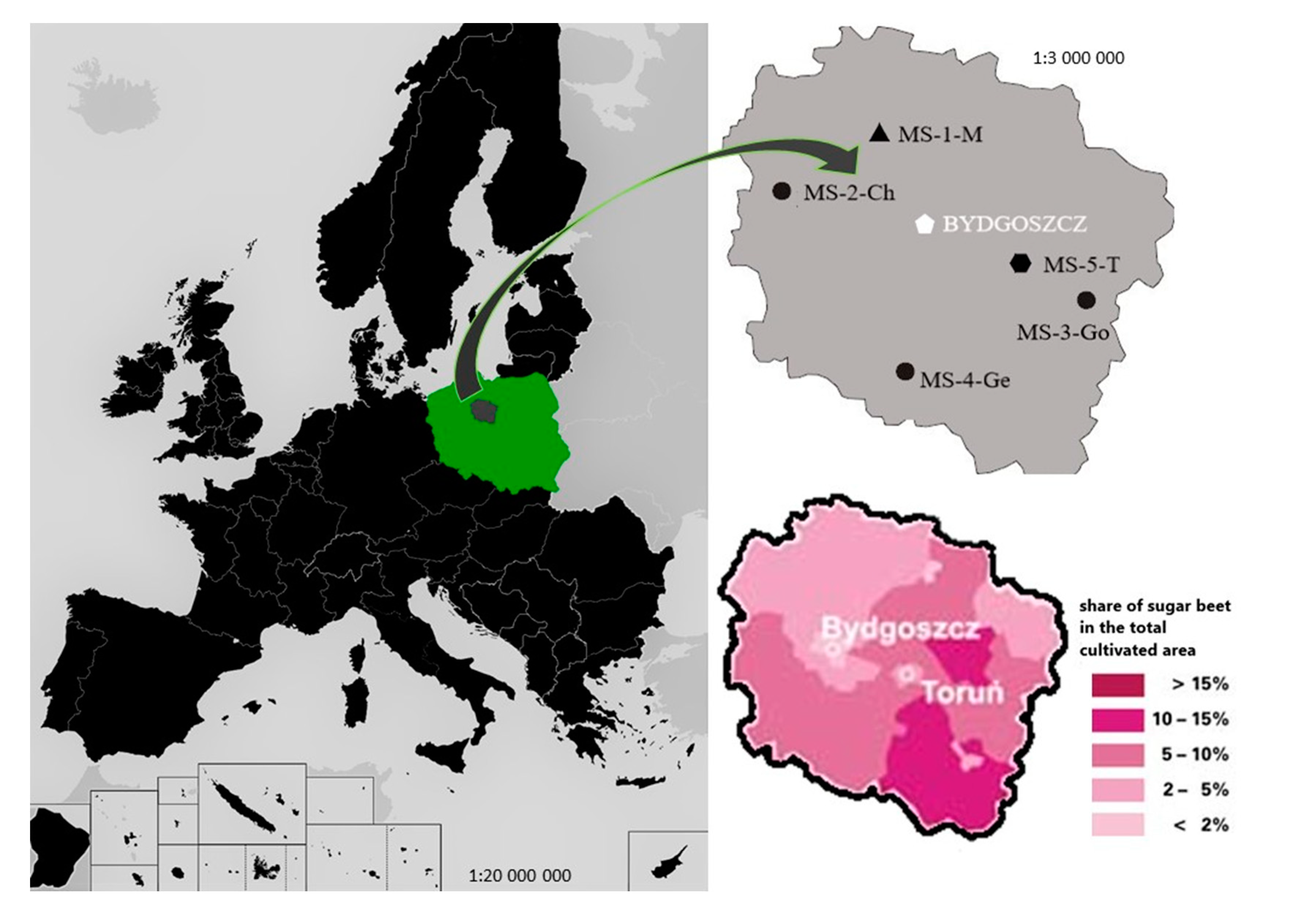 Agronomy 09 00814 g001