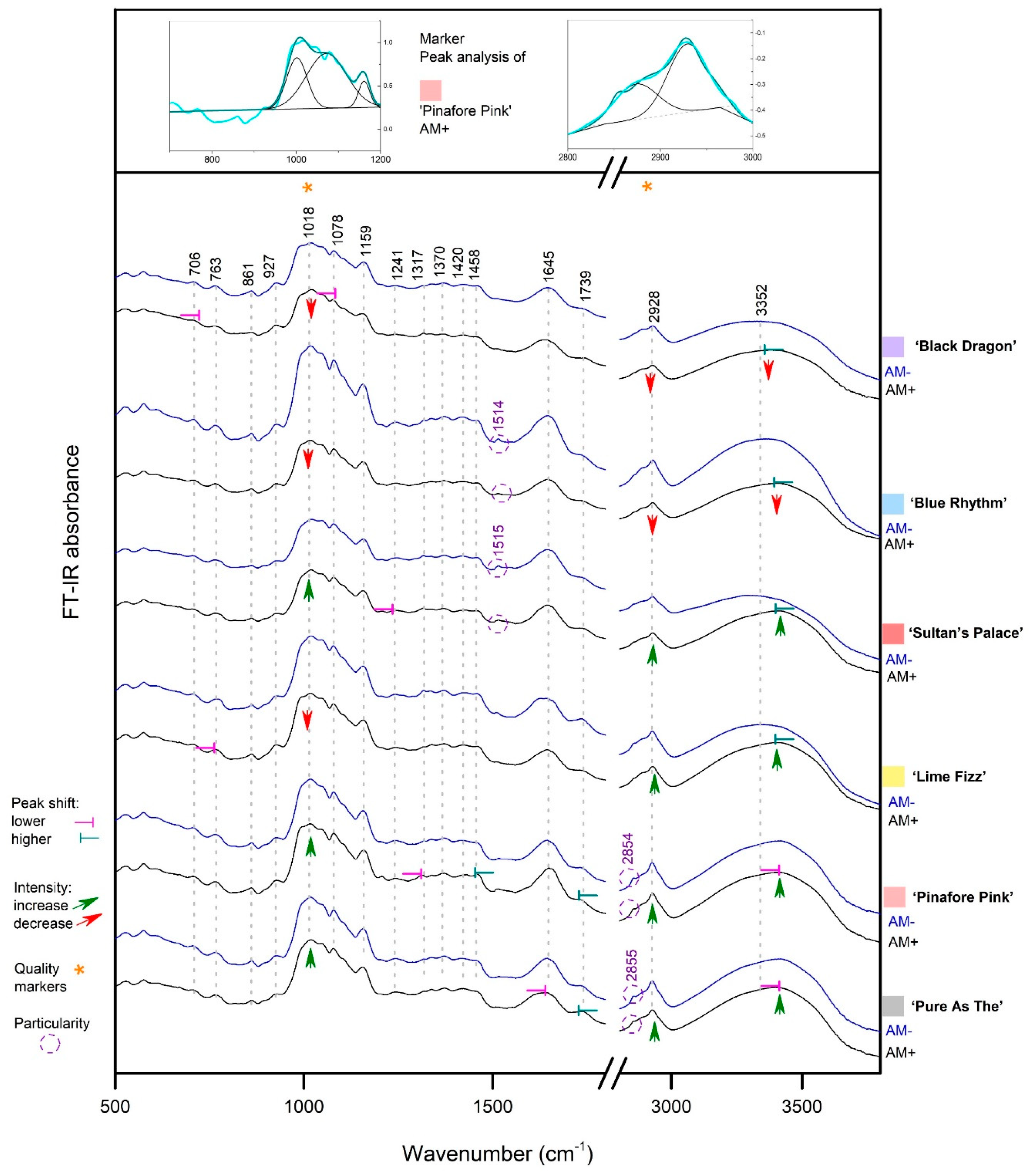 Agronomy 09 00815 g004