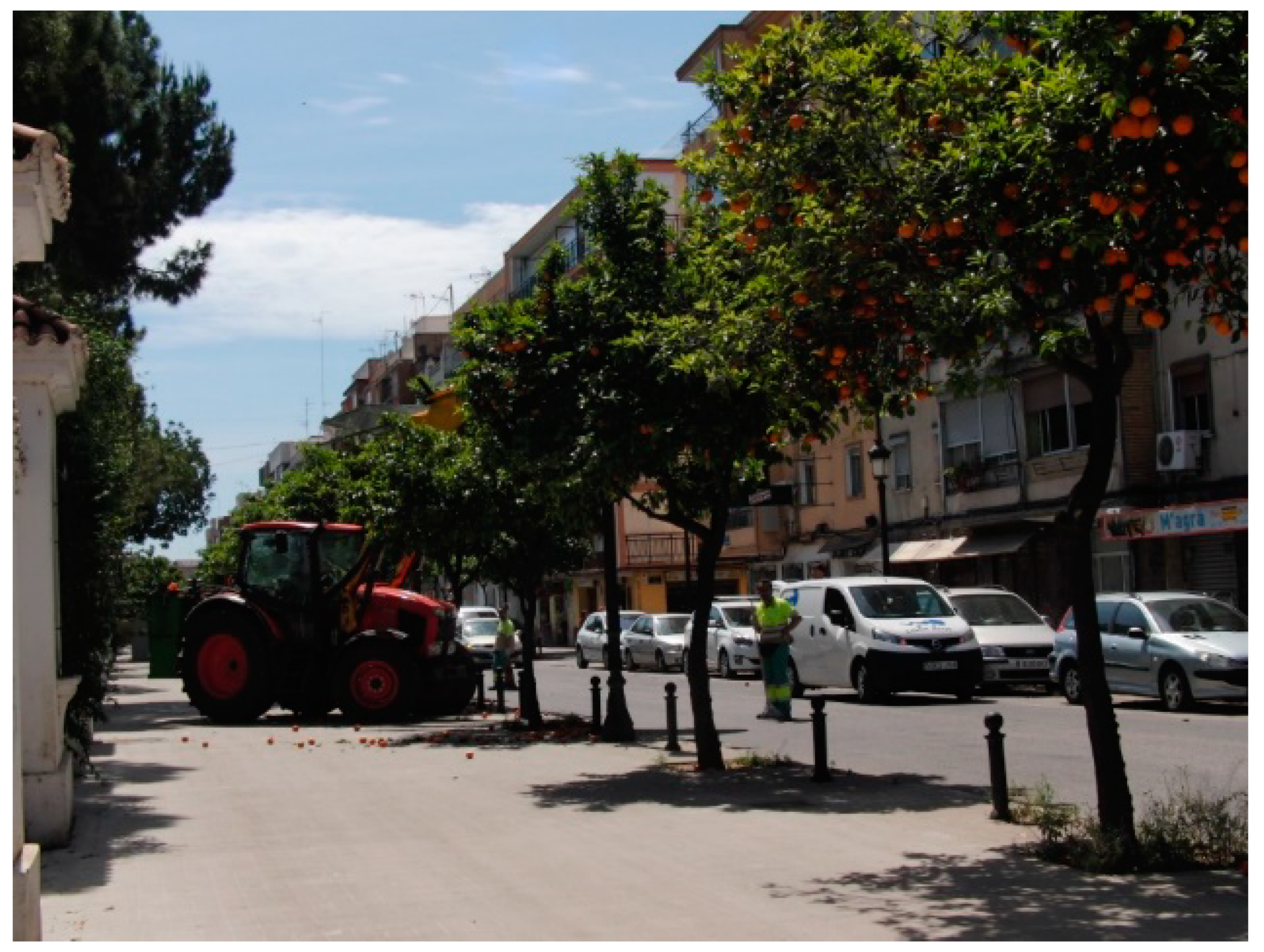 Agronomy 09 00827 g007 Agronomy 09 00827 g007