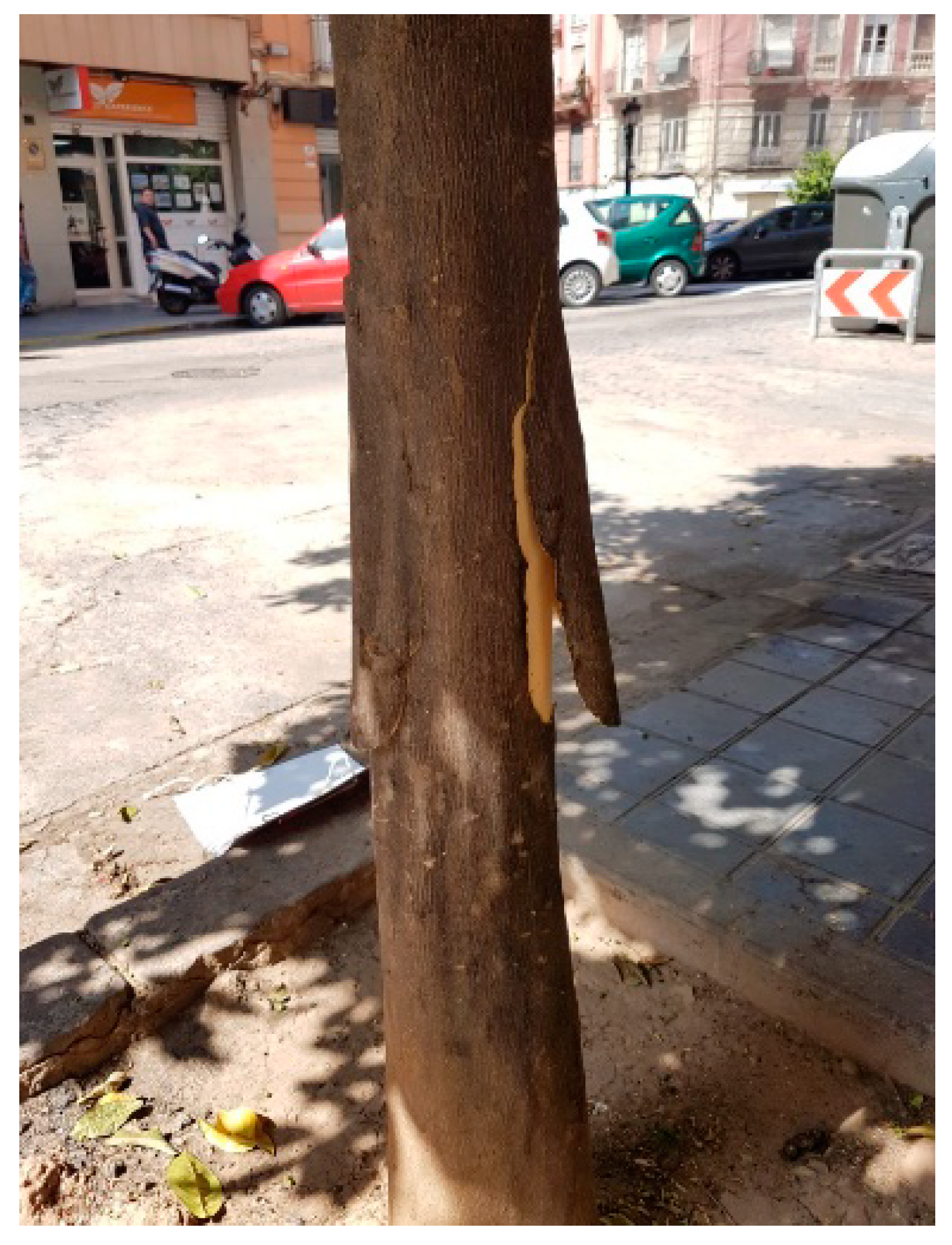 Agronomy 09 00827 g013 Agronomy 09 00827 g013