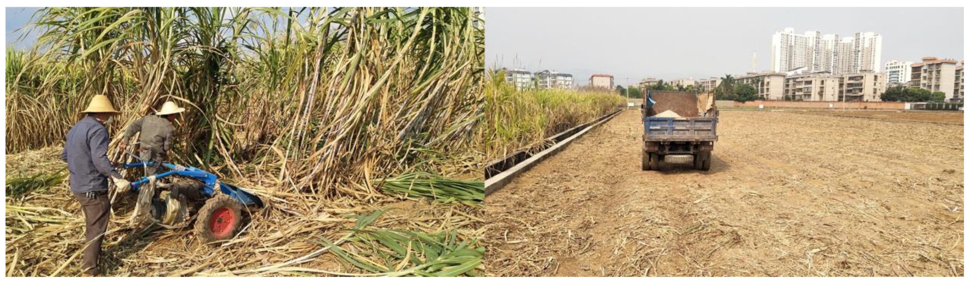 Agronomy 09 00830 g001