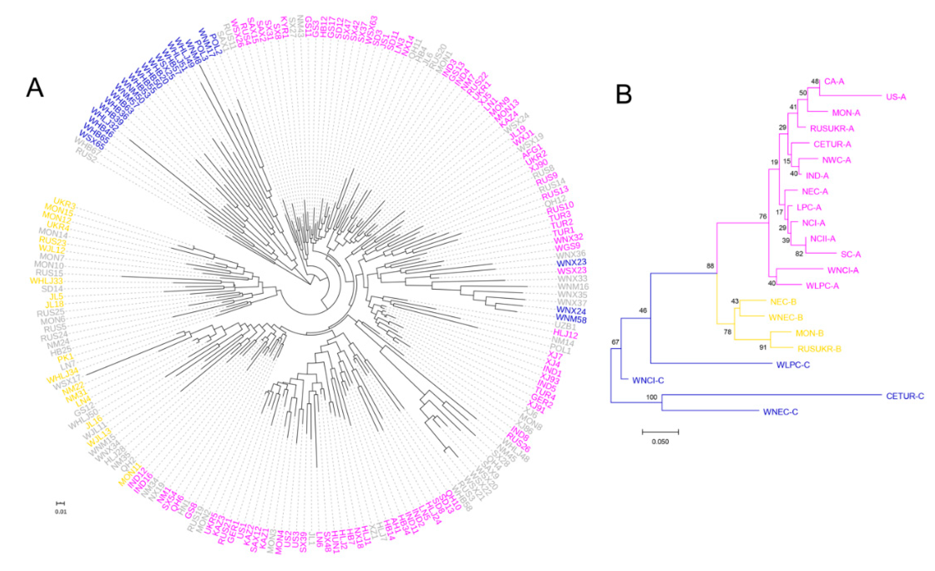 Agronomy 09 00835 g002
