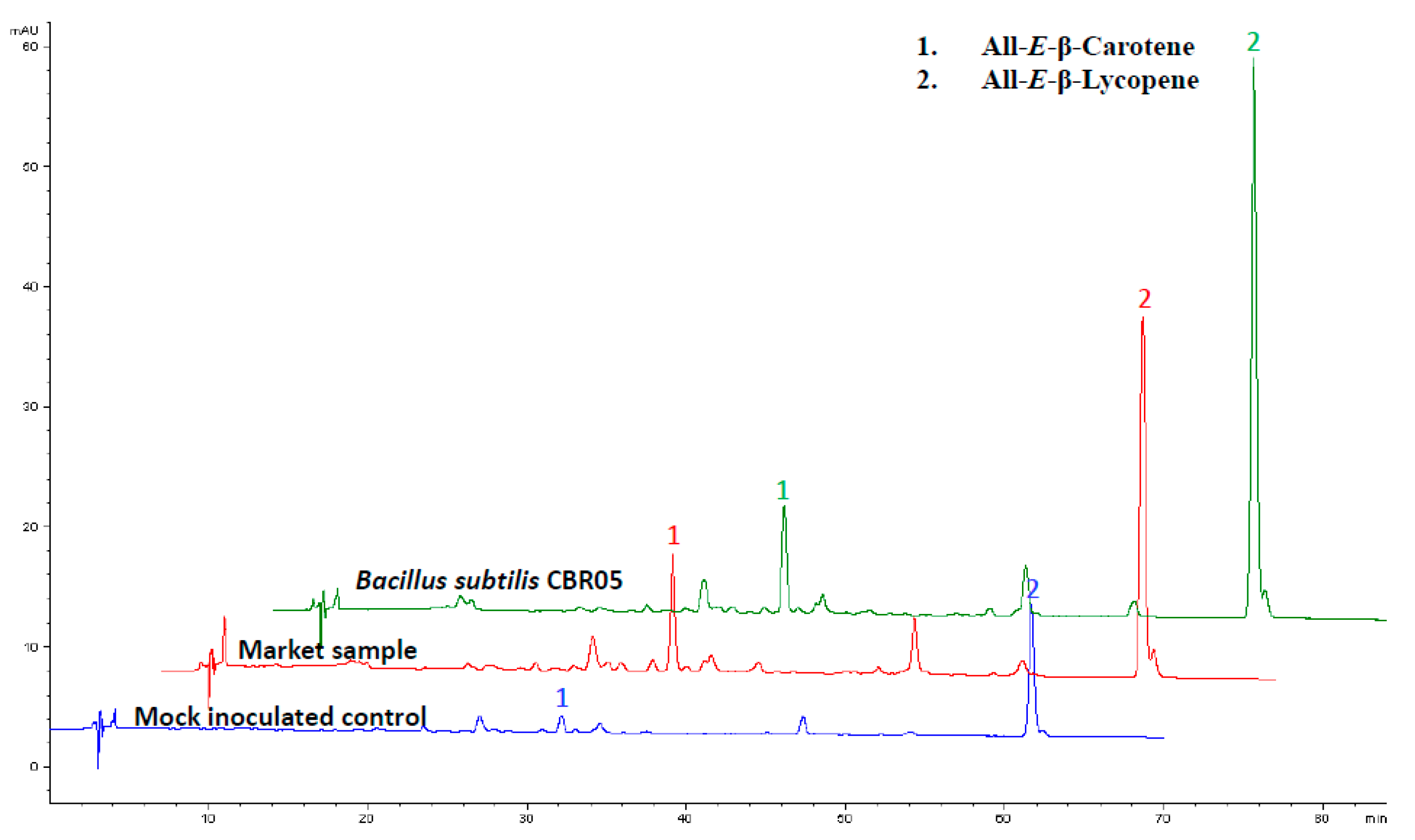 Agronomy 09 00838 g004