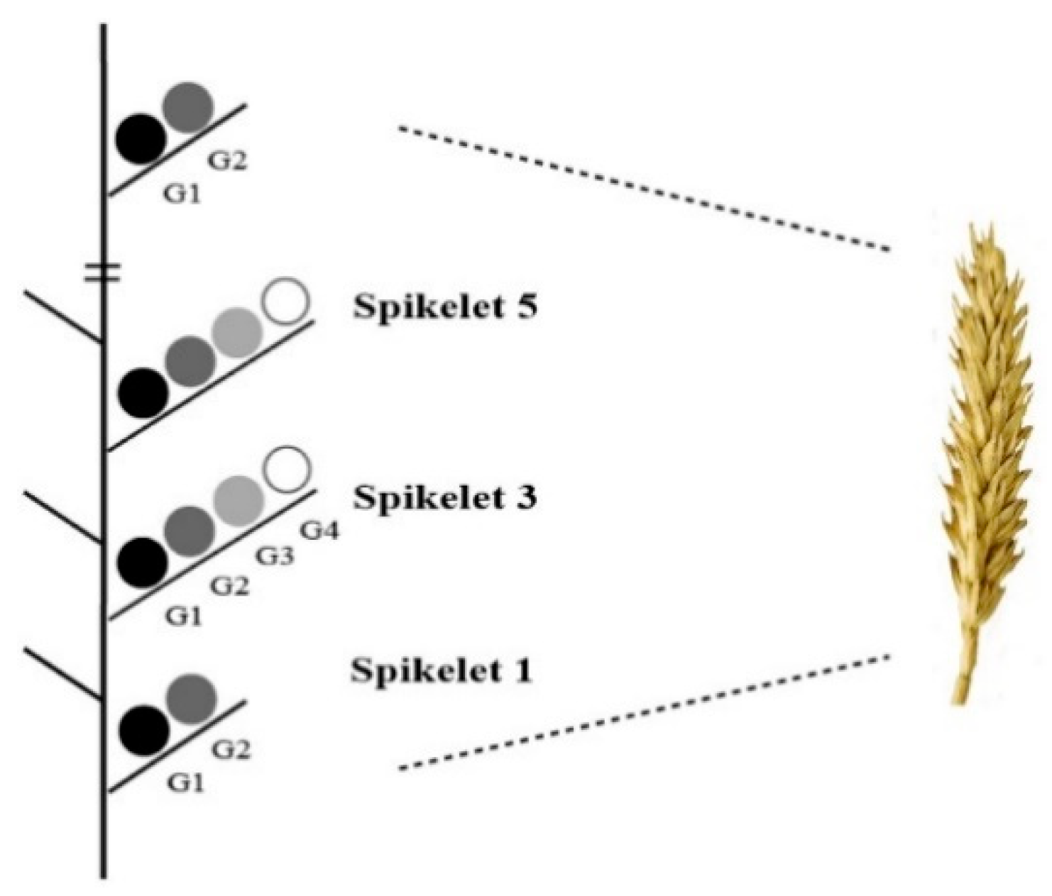 Agronomy 09 00850 g0a1 Agronomy 09 00850 g0a1