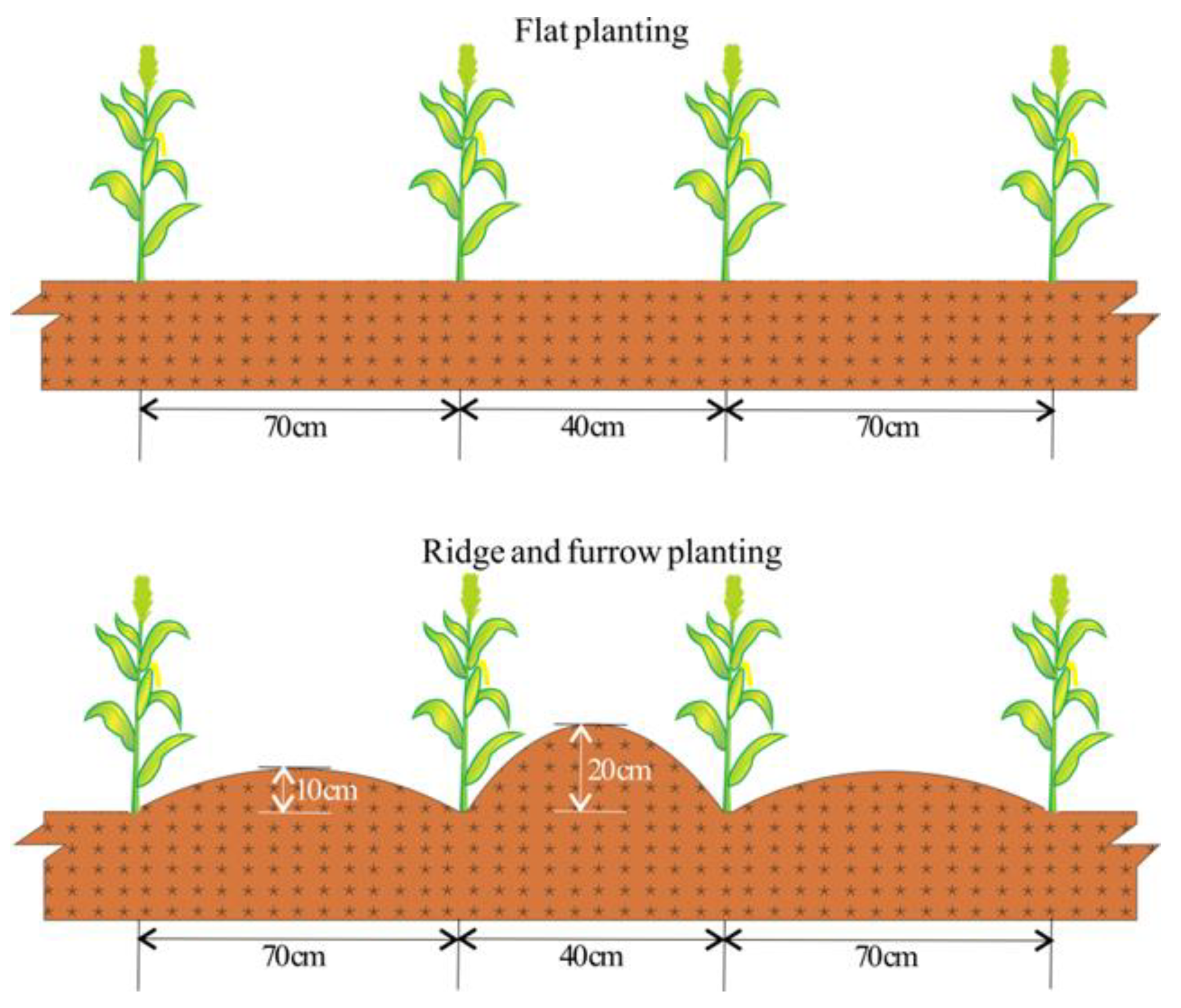 Agronomy 09 00865 g002