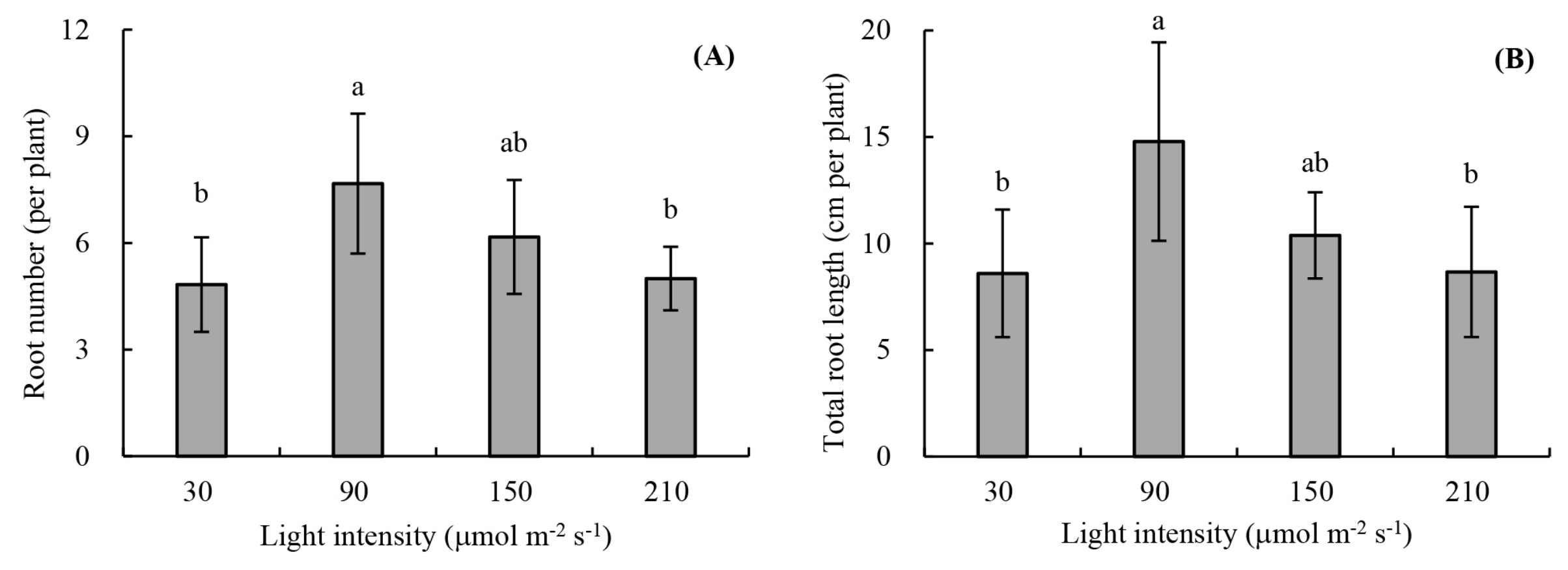 Agronomy 09 00875 g003