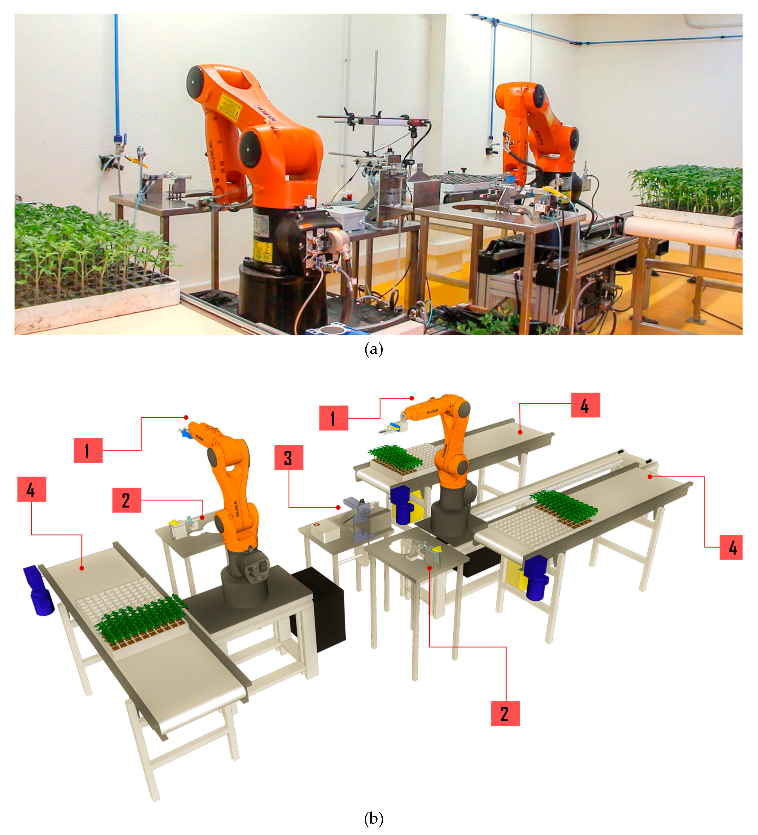 Agronomy 09 00880 g003