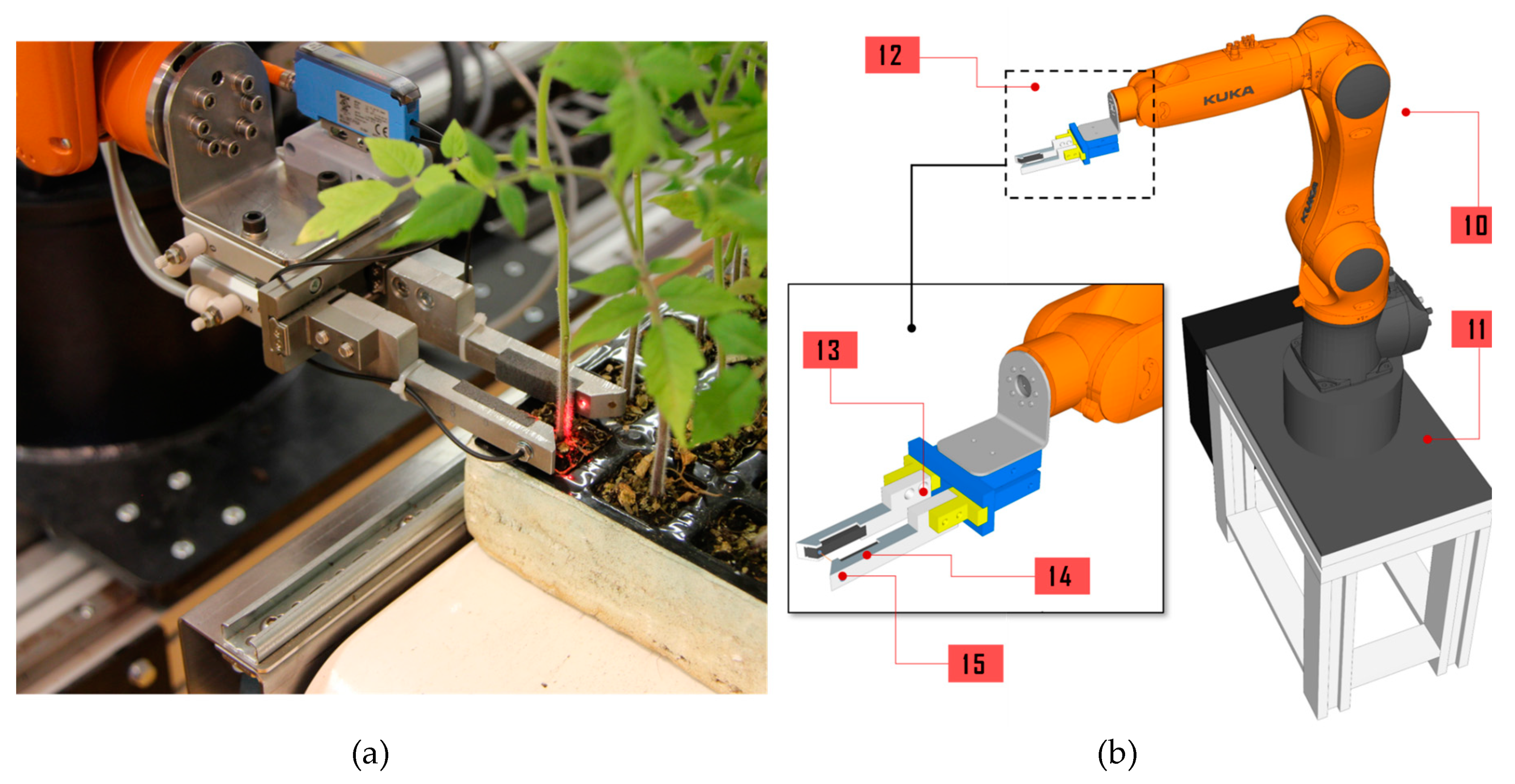 Agronomy 09 00880 g004