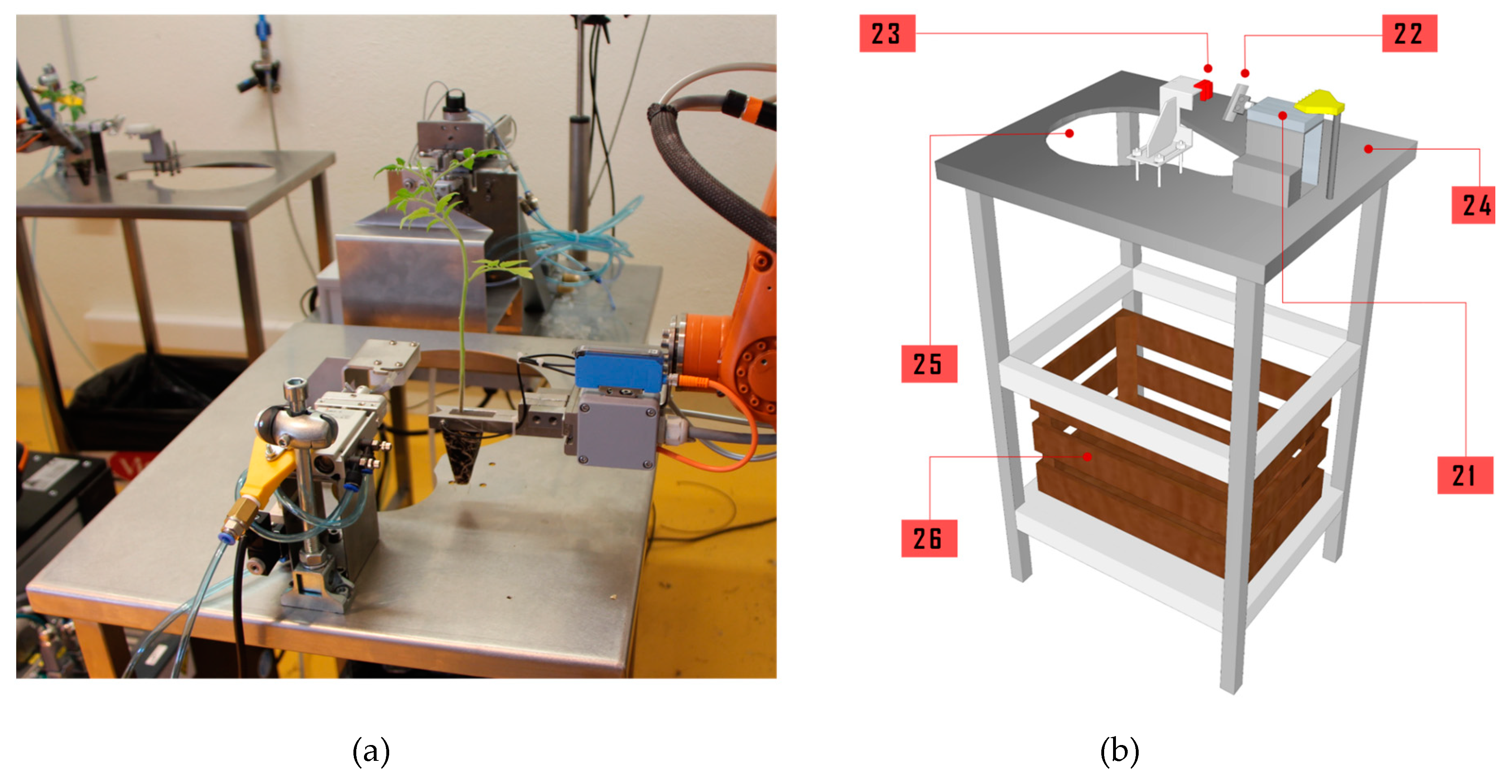 Agronomy 09 00880 g005