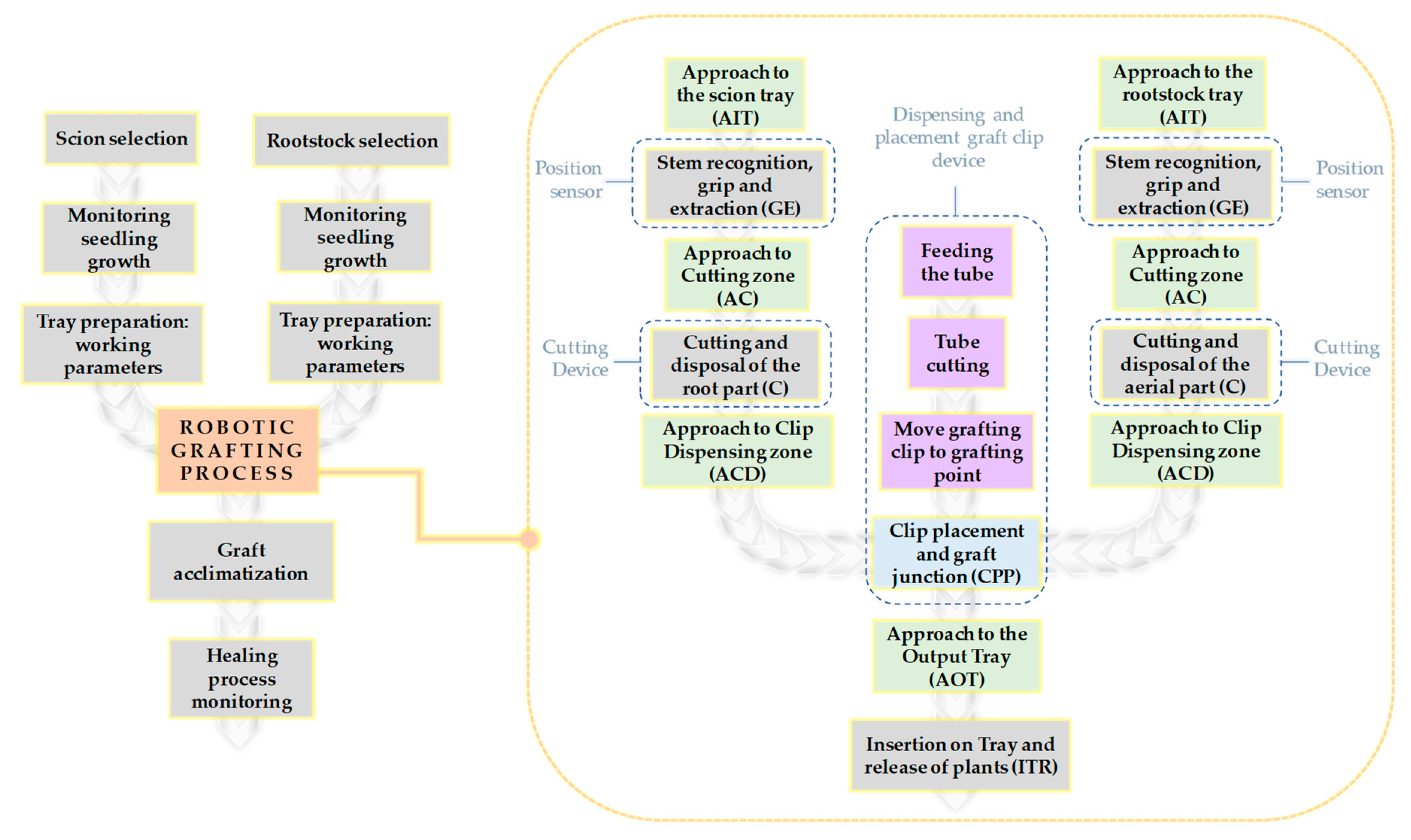 Agronomy 09 00880 g008
