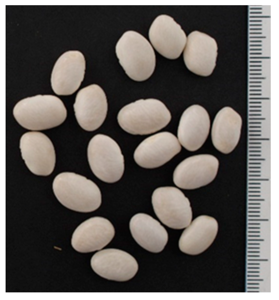 Agronomy 09 00889 g001 Agronomy 09 00889 g001